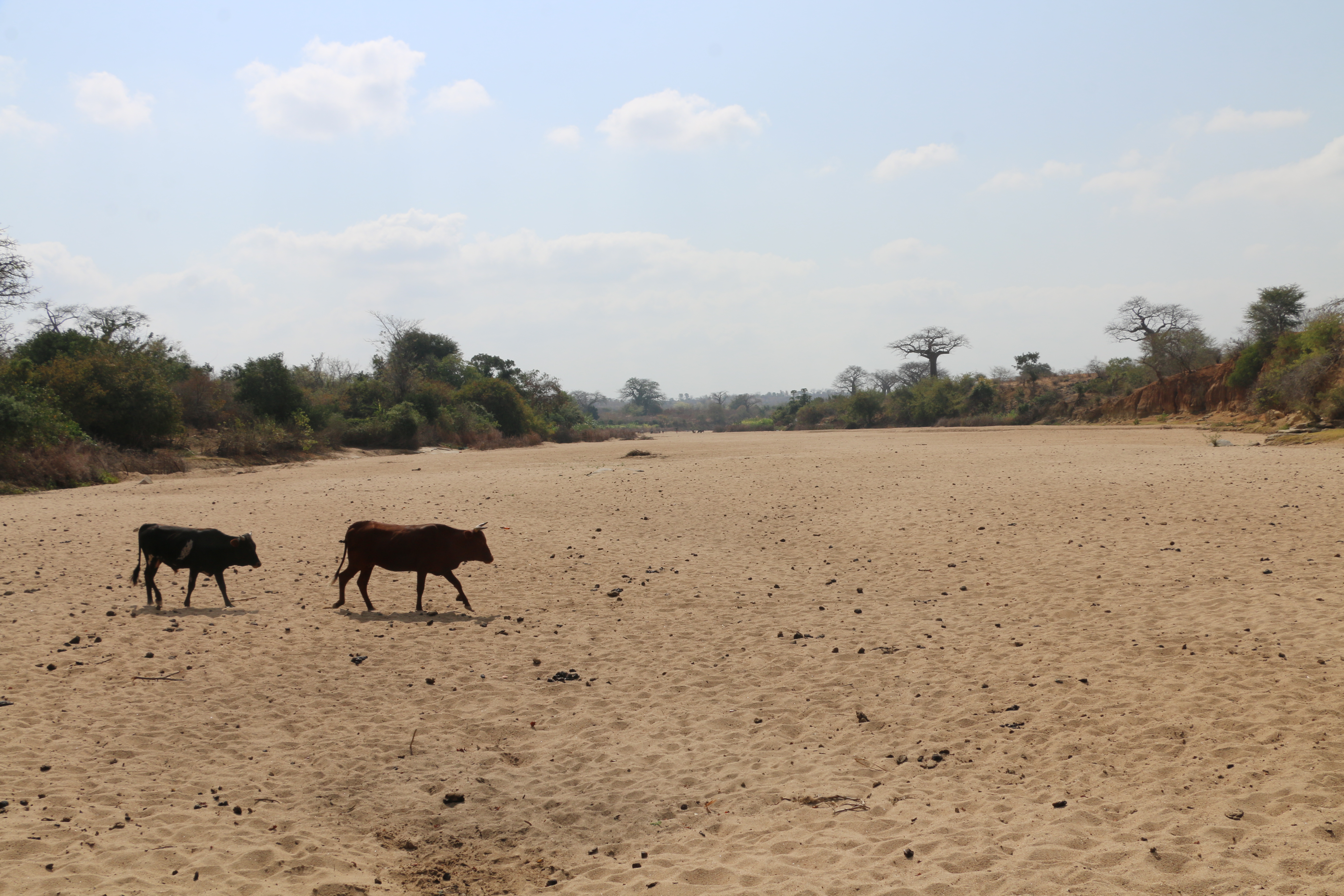 El Niño in Zimbabwe