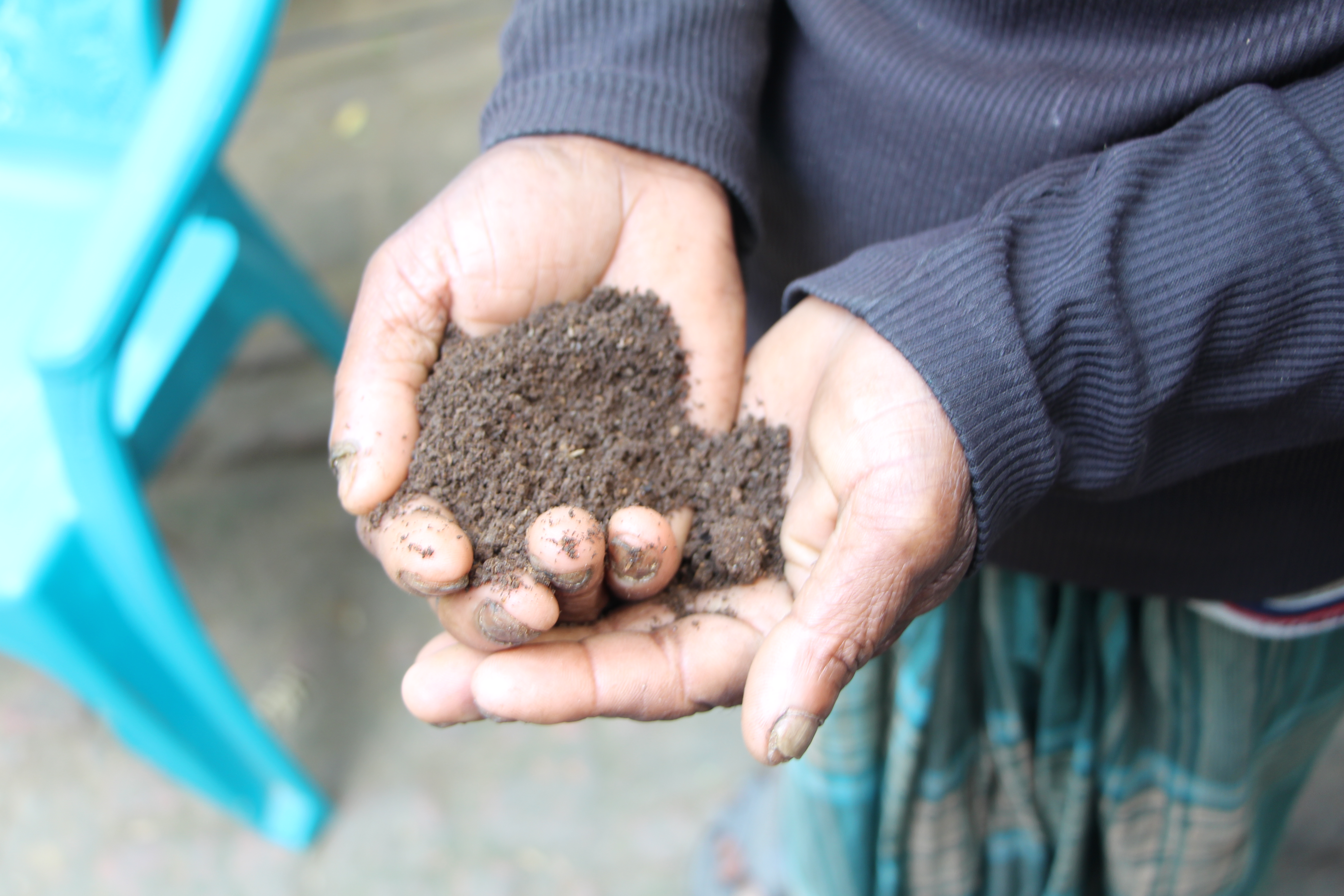 Hands holding soil