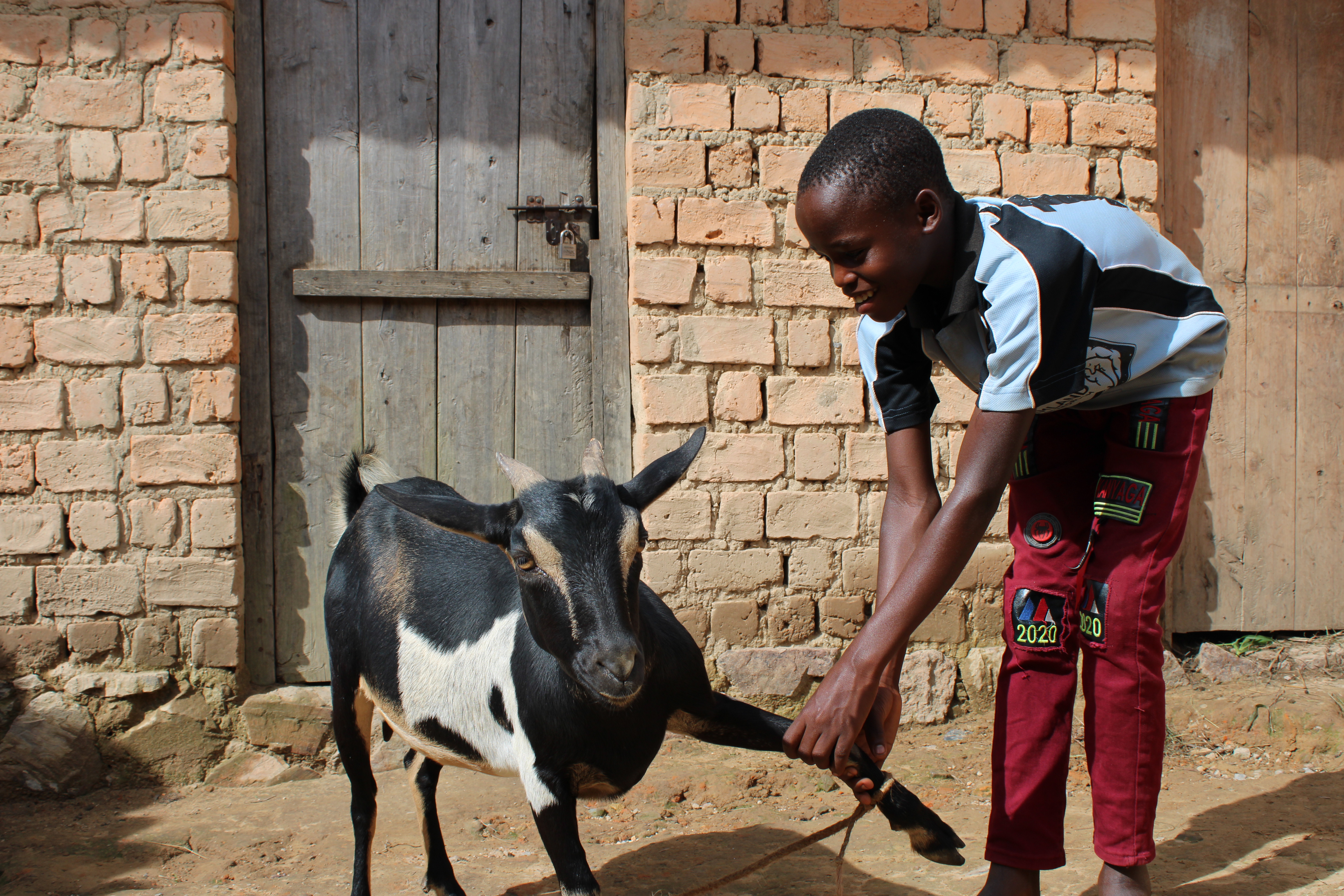 Small livestock keeping has helped Chadrack's family improve their life
