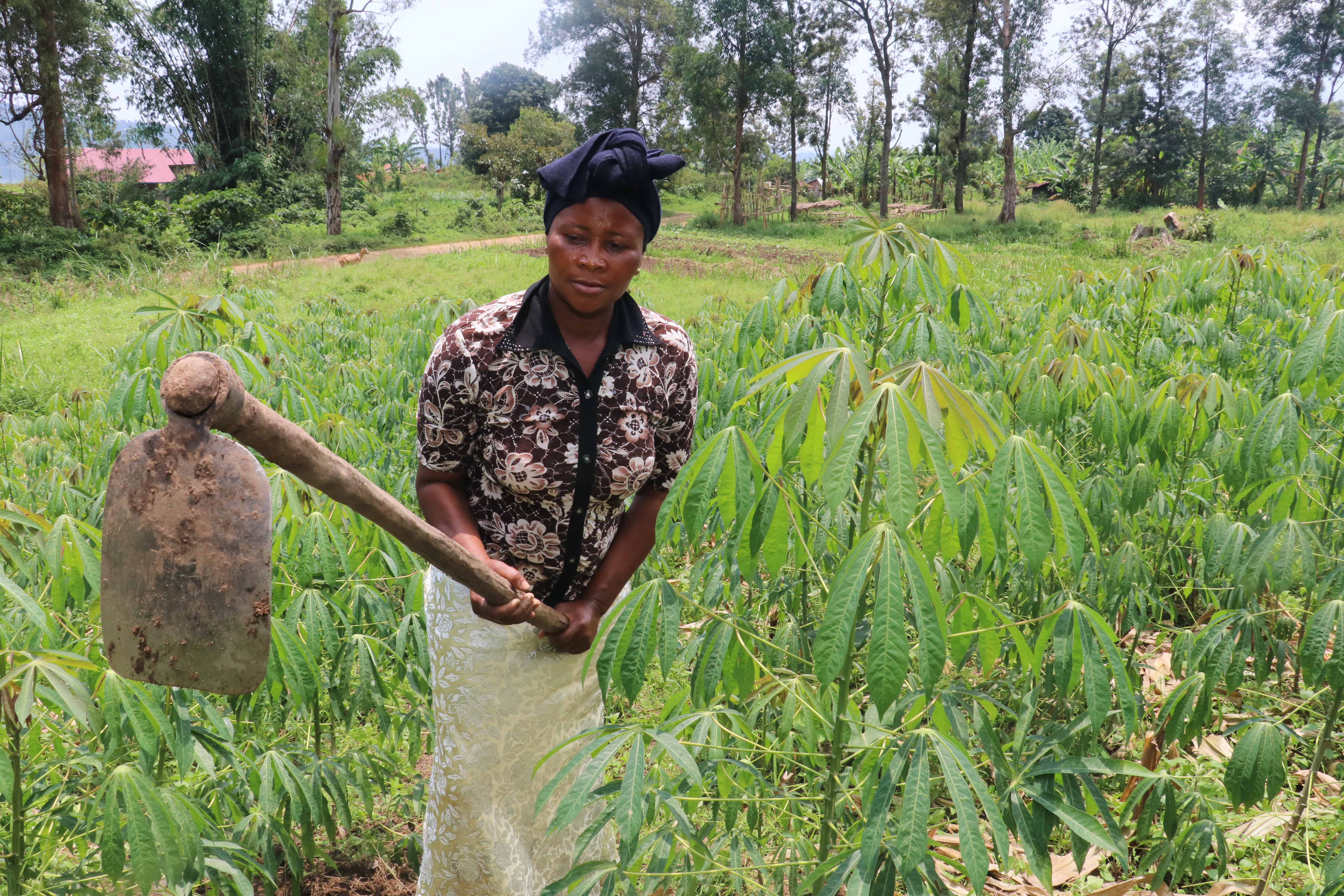 Figure 1: FSP_2022: Julienne KASHISHA in the field of the OP COOPAMI in Kasheke.