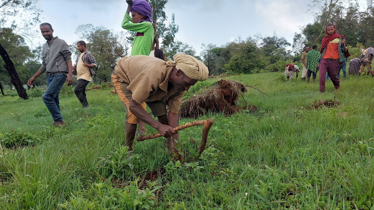 Community Member Planting