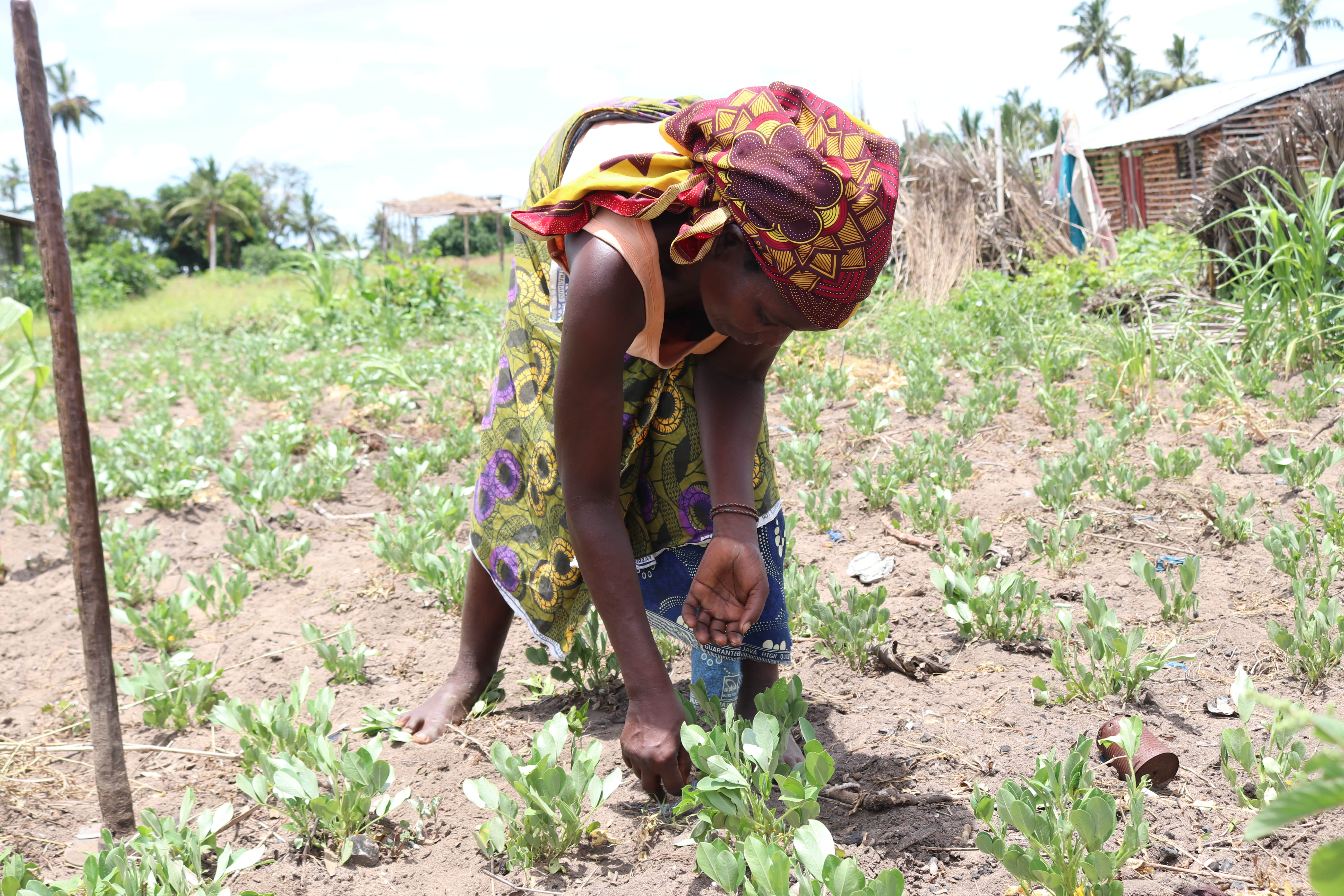 Julieta is no longer able to sell some of her agricultural surplus due to the limitations imposed by COVID-19