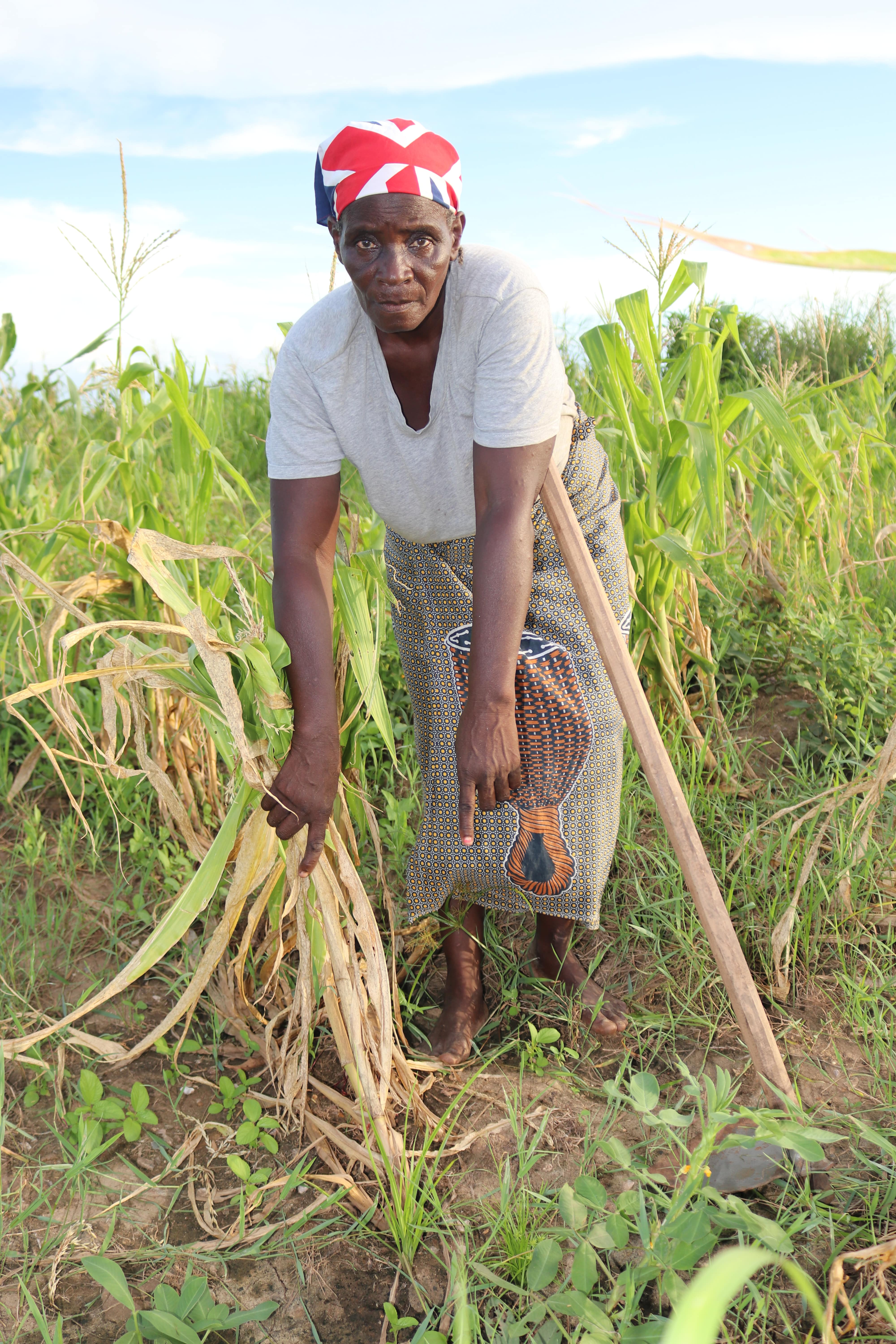 Amélia is showing the havocs that floods caused on her crops