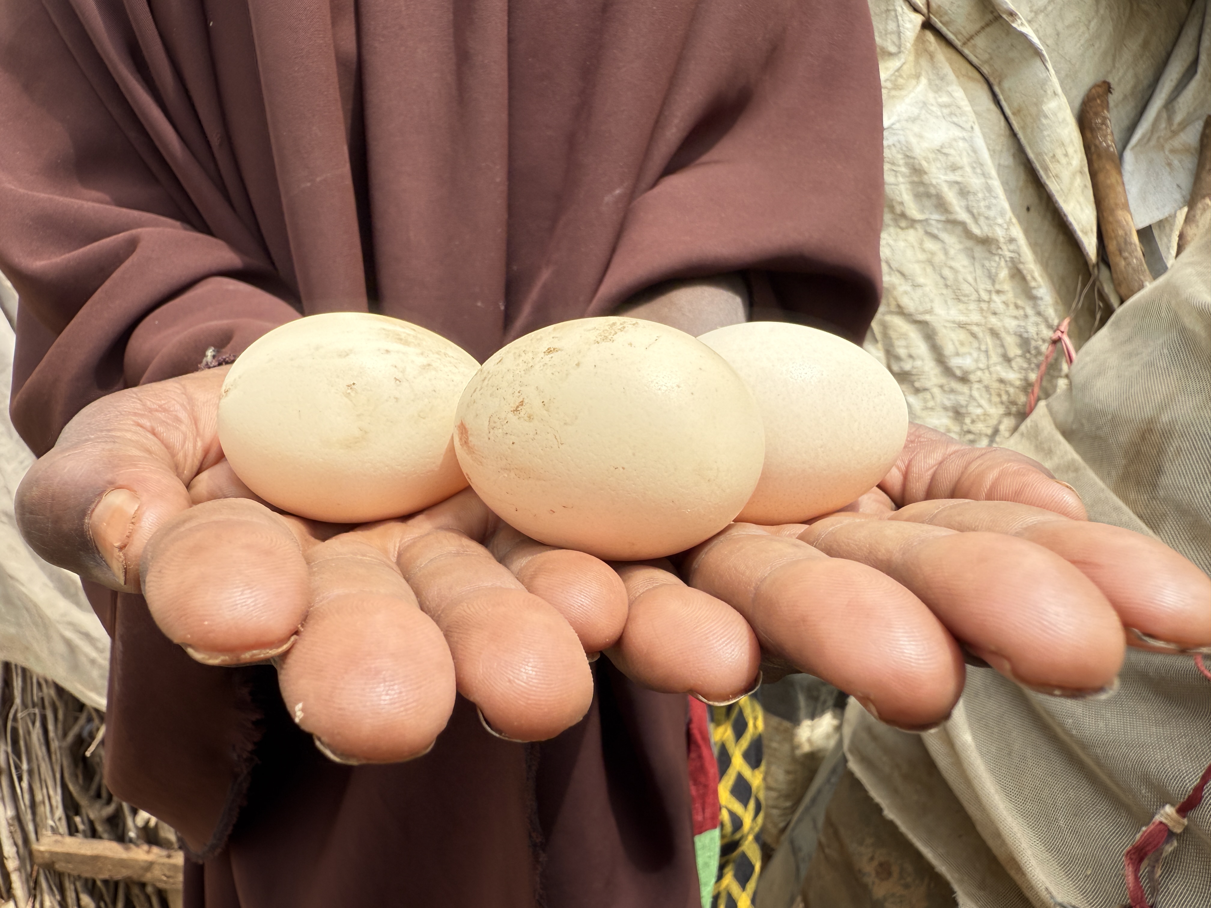    Nishey holding eggs from her chicken