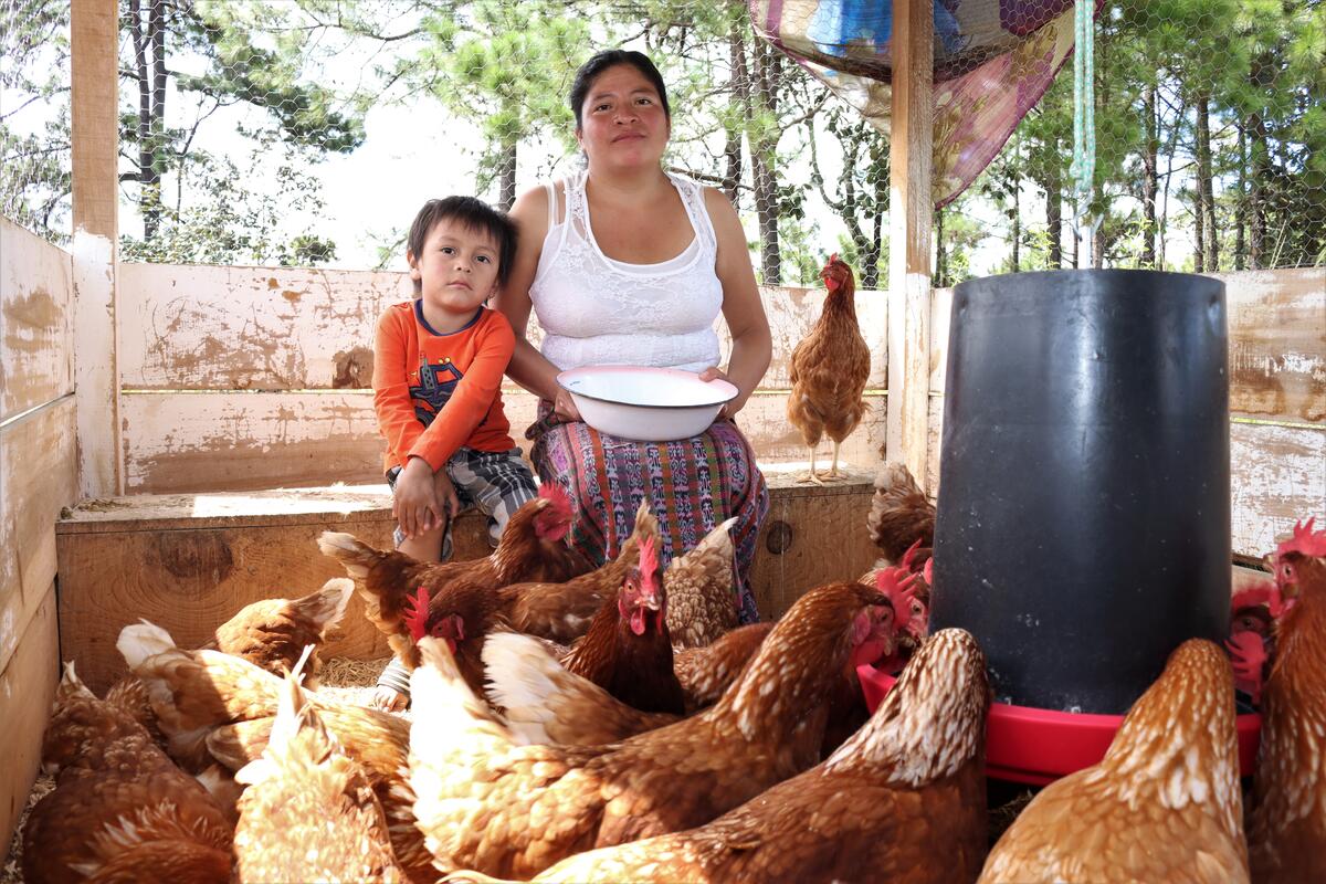 Family in Latin America cooks food