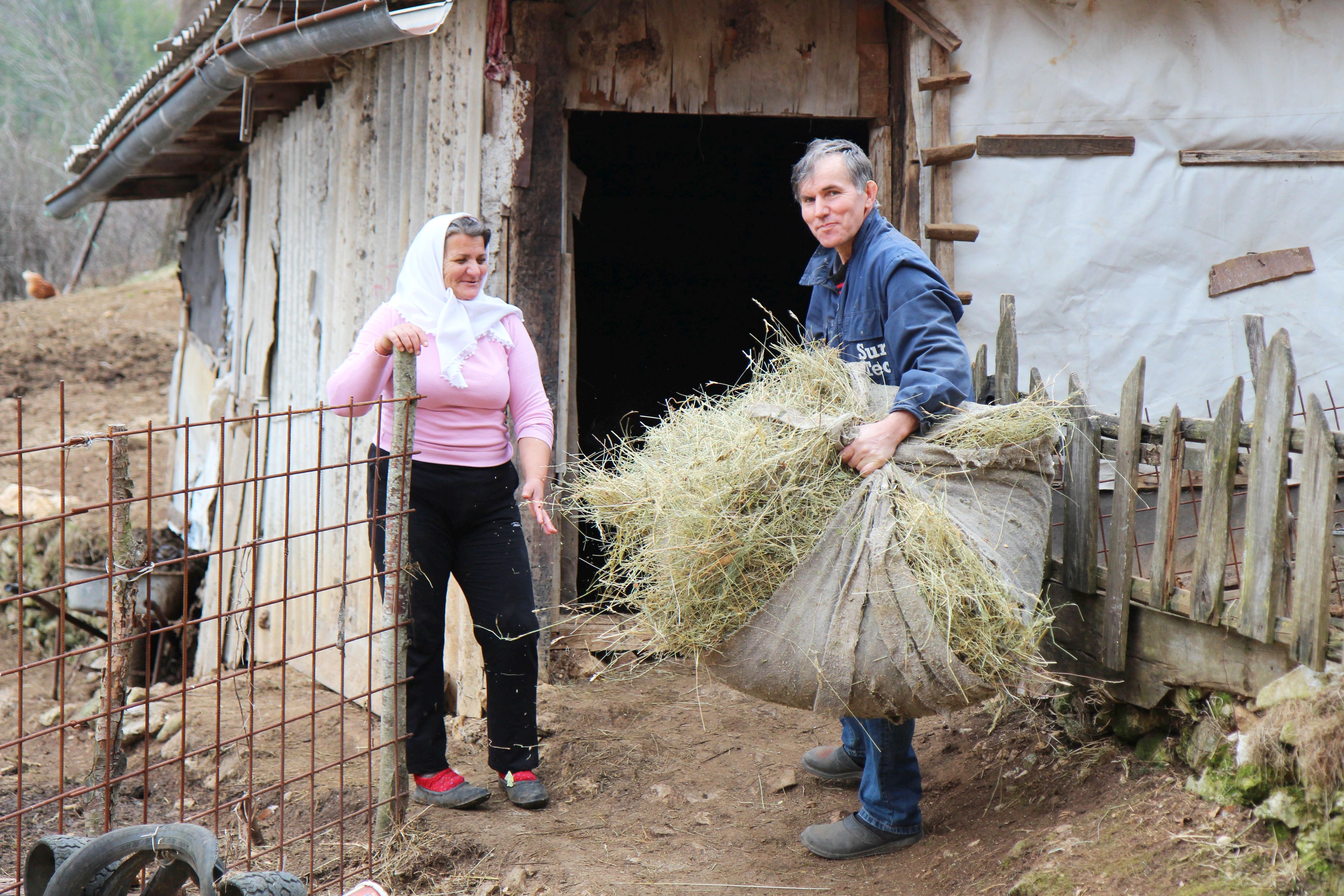 There is a certain routine to mornings in village Živašnica. Animals need to be fed and watered and Azemina and Vahid in the picture above are about to feed cows. 