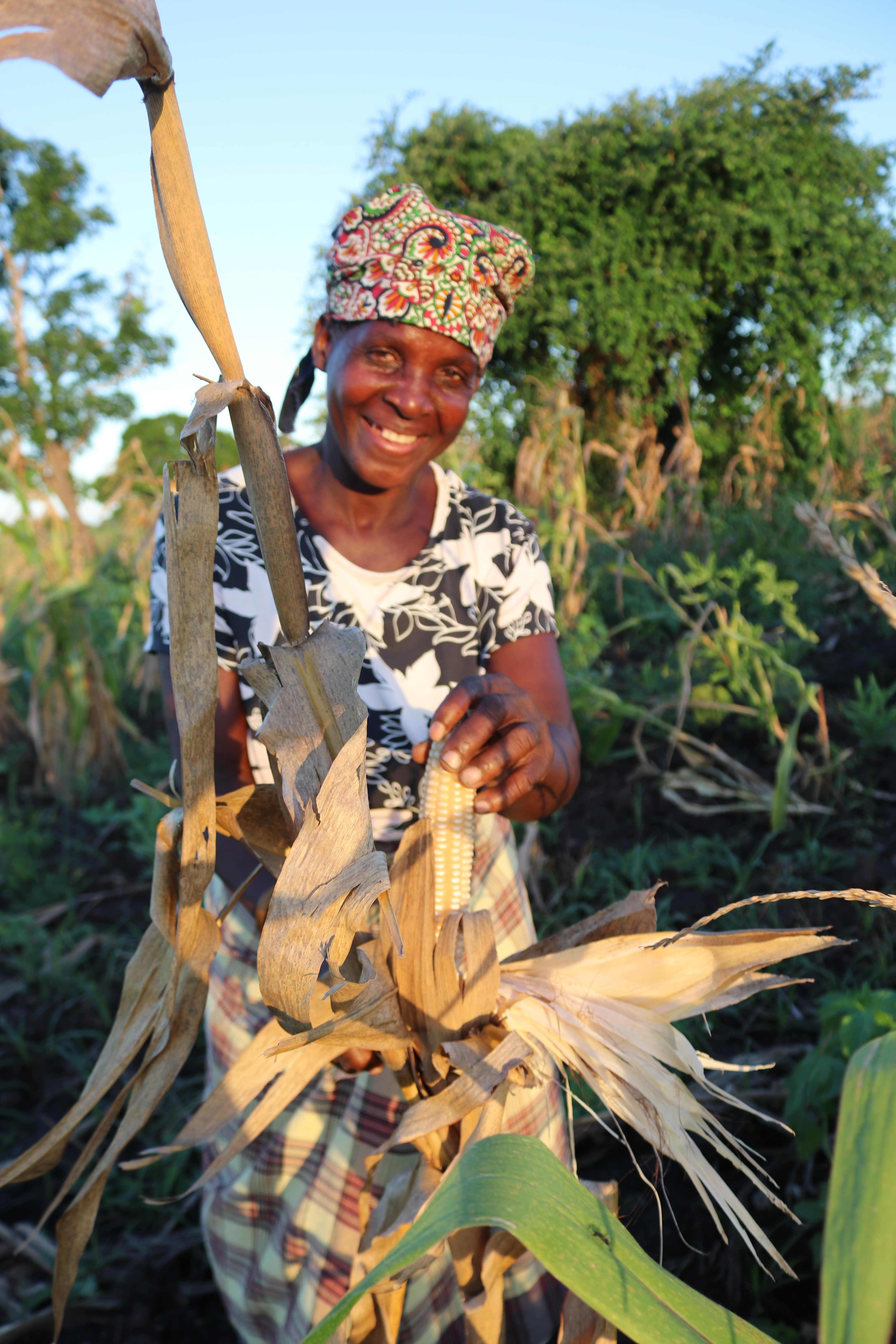 Ofélia shows her high-quality corn