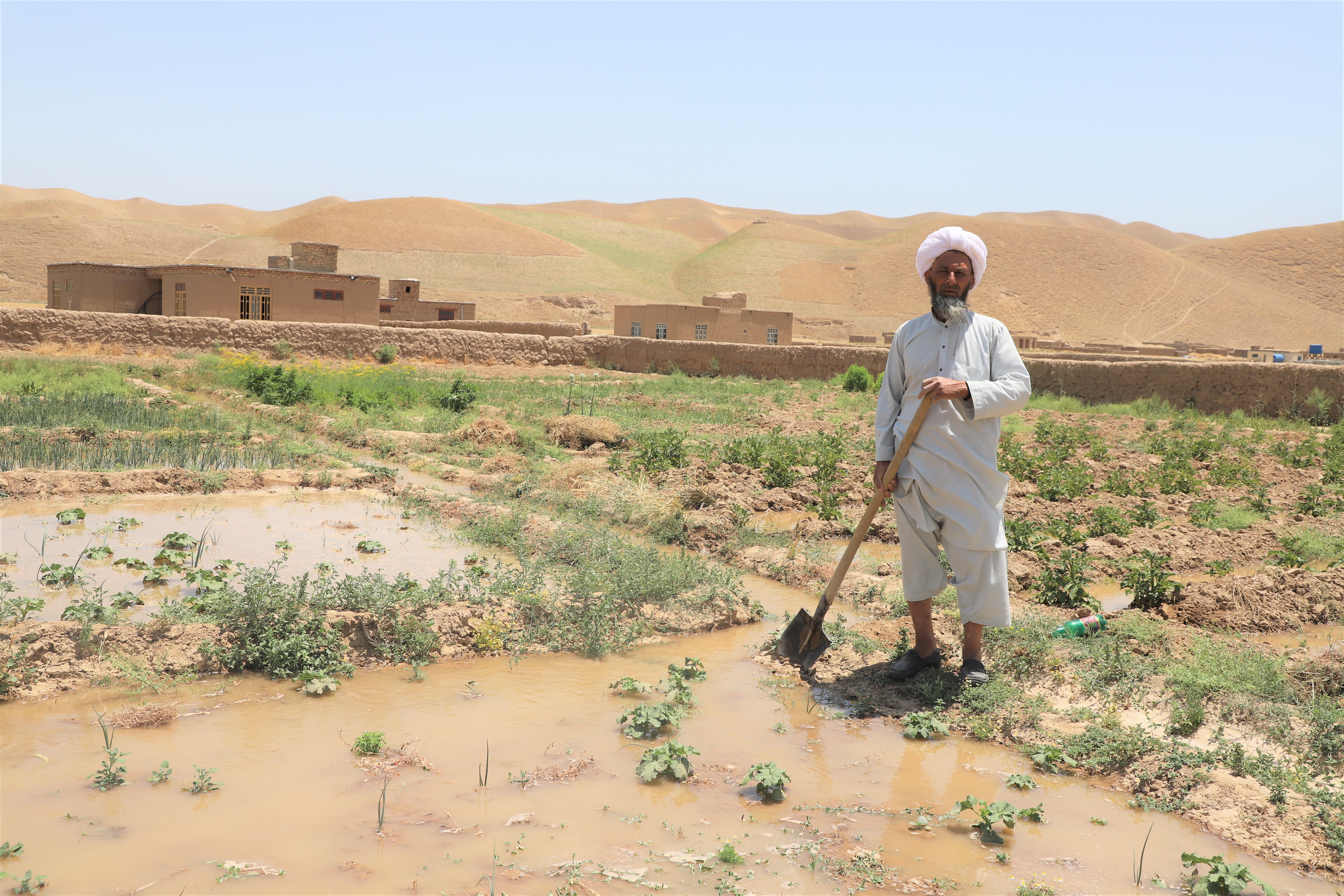 Abdul Azim is using canal water for irrigating his agricultural land.