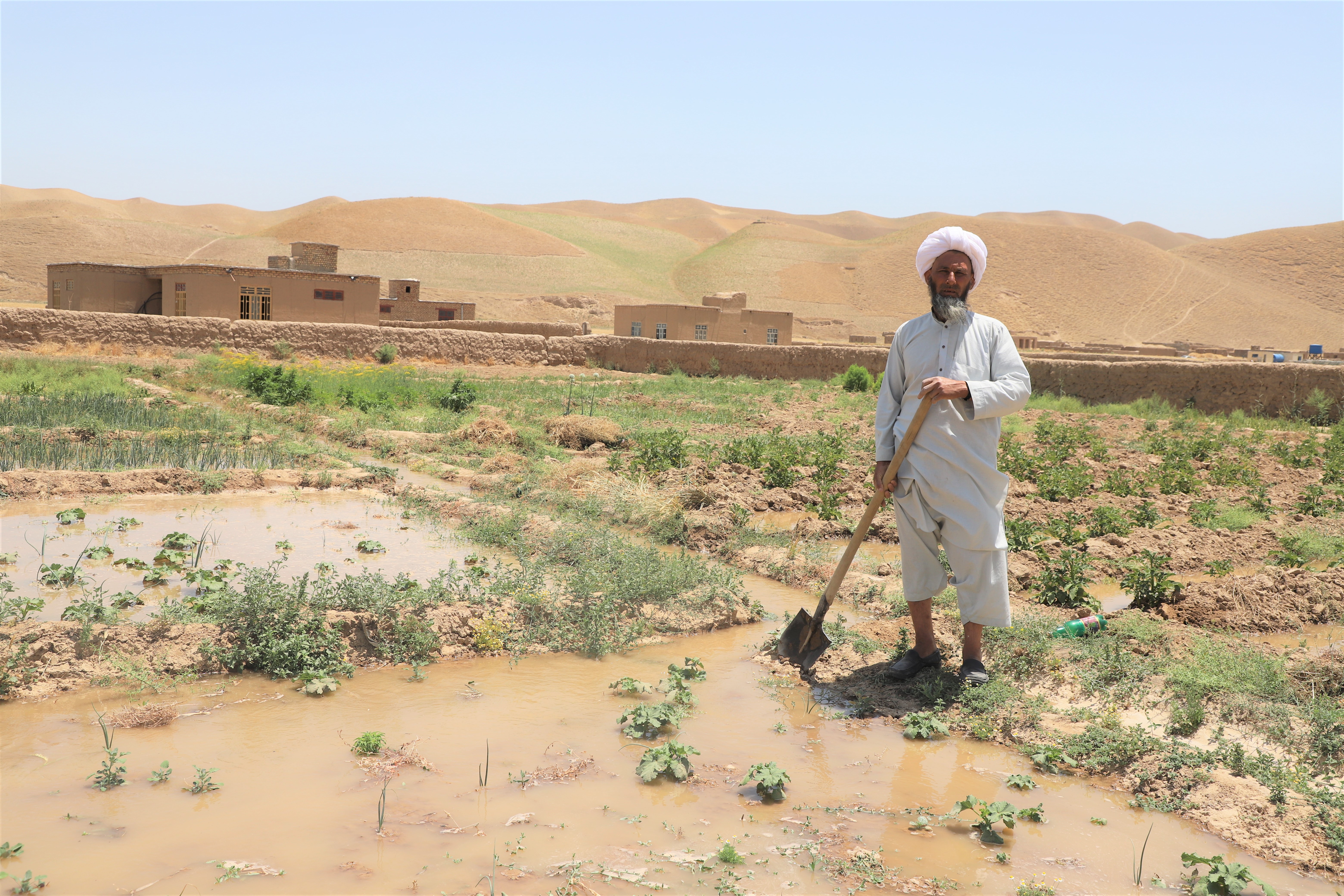 Abdul Azim is using canal water for irrigating his agricultural land. 