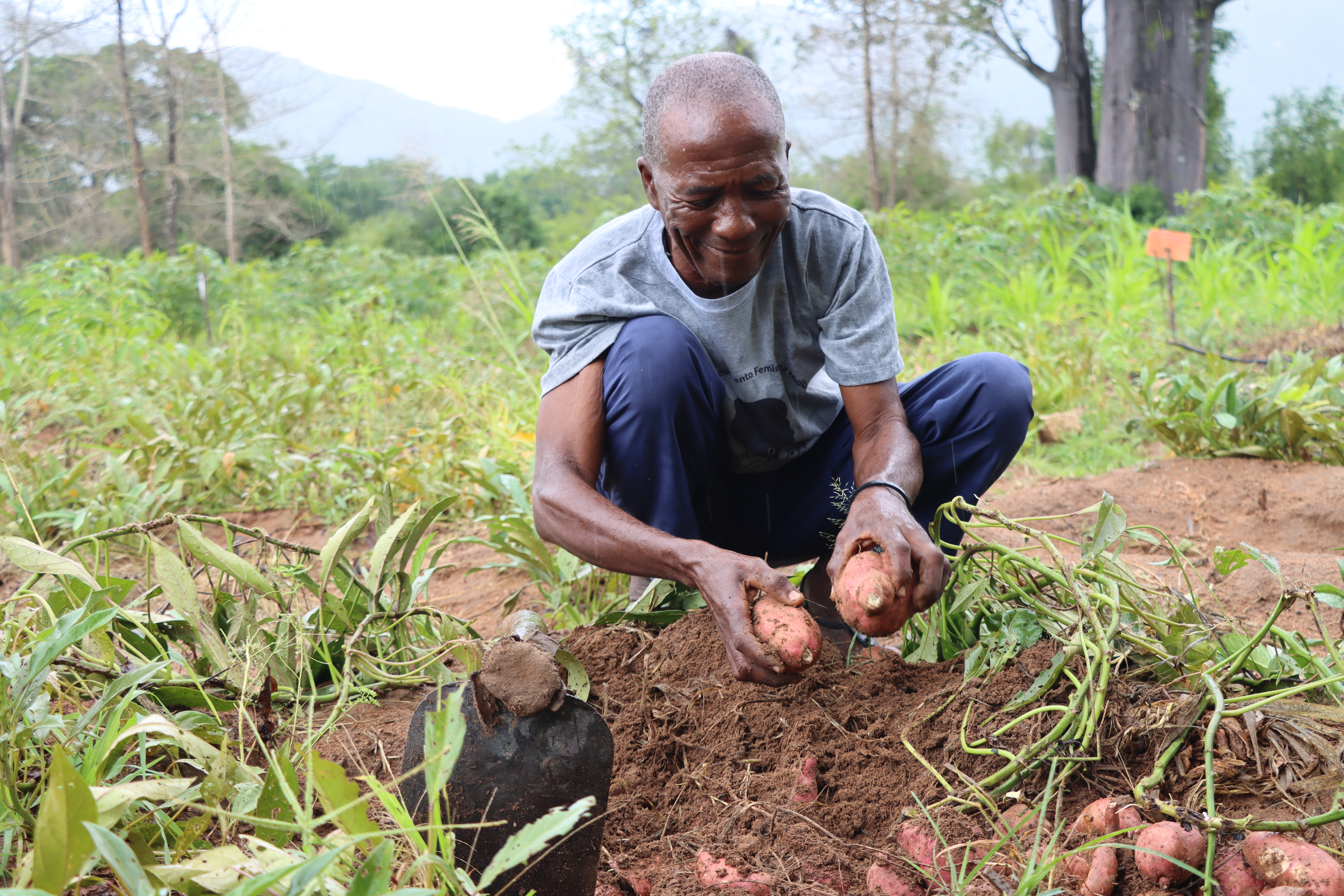  Alberto is one of the coordinators of the Field School and Maria Zita's husband
