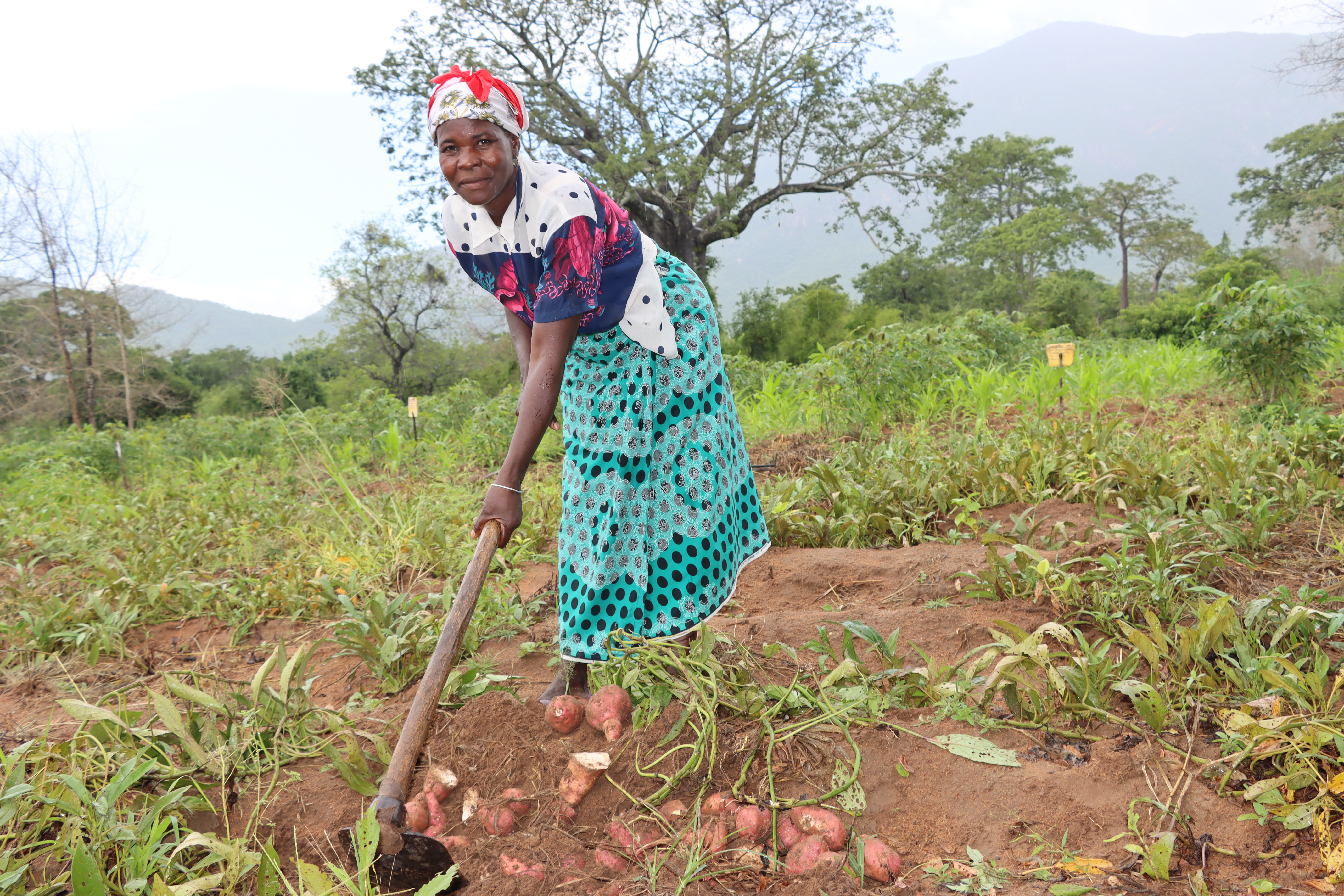 Maria, a native peasant from the Nkhondo community