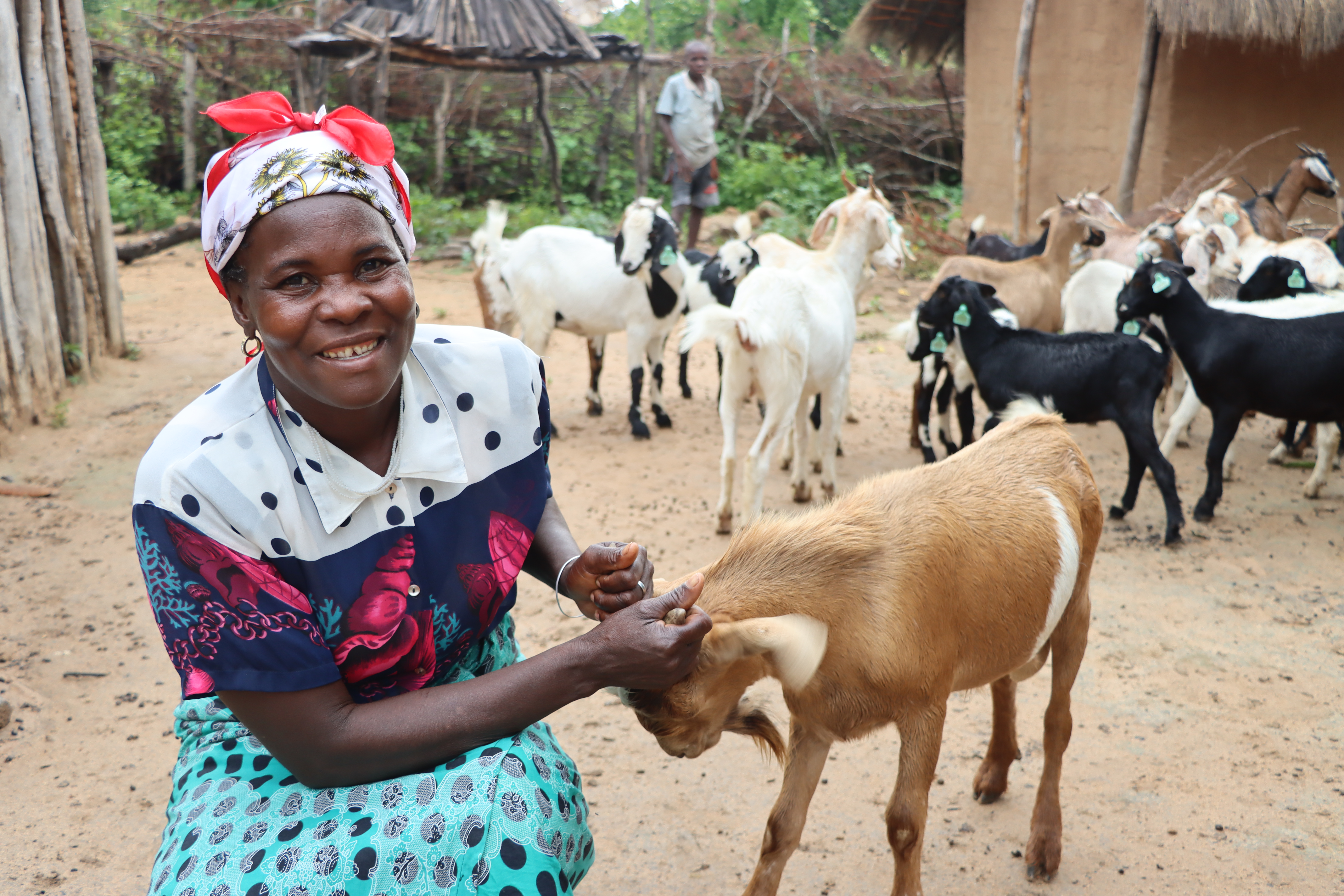  Maria Zita showing the animals she received from the project