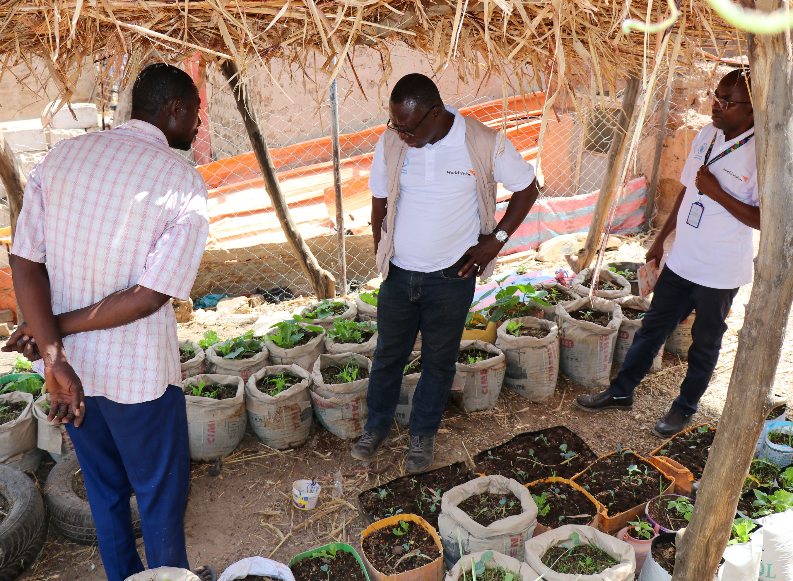 Follow-up visit by World Vision teams to Kalifa's soilless garden.