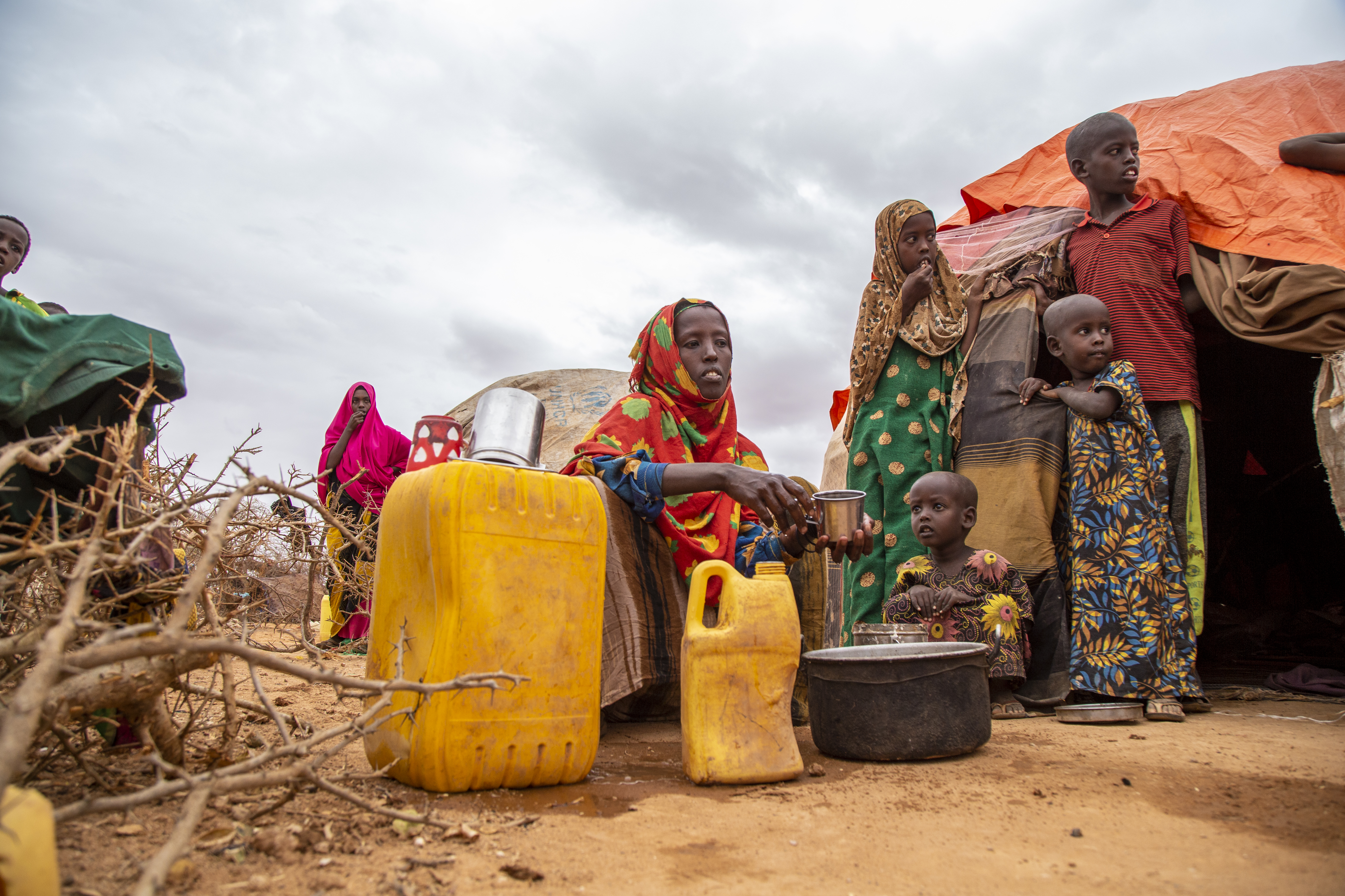 Widowed, then forced to leave their homes after losing all their livestock 