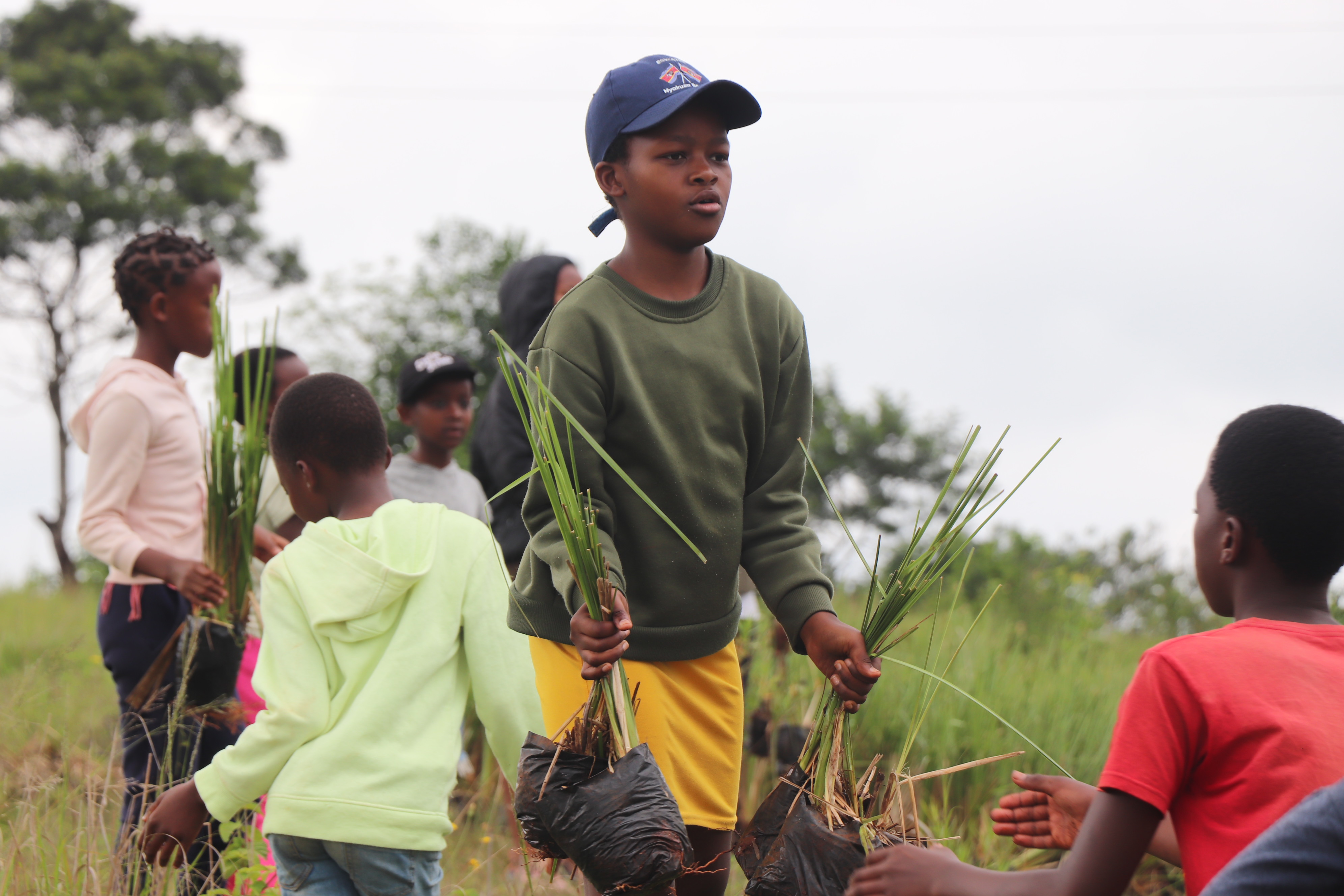 Children planting vetiver grass in a donga that has threatened the community's livelihood for years. 
