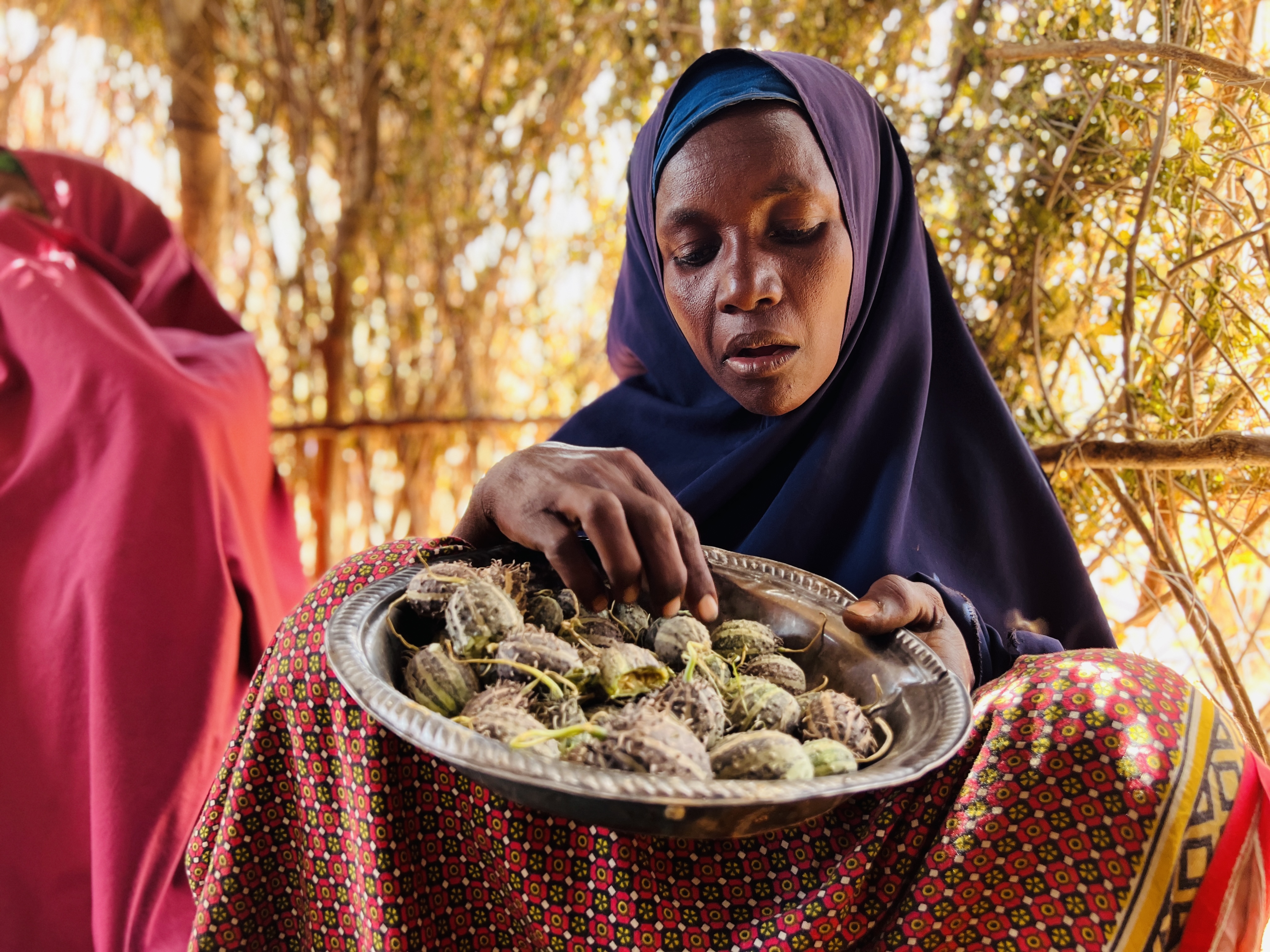 Adey Abdi a resident of an IDP settlement in Baidoa displays a bowl of uncooked wild fruits. 