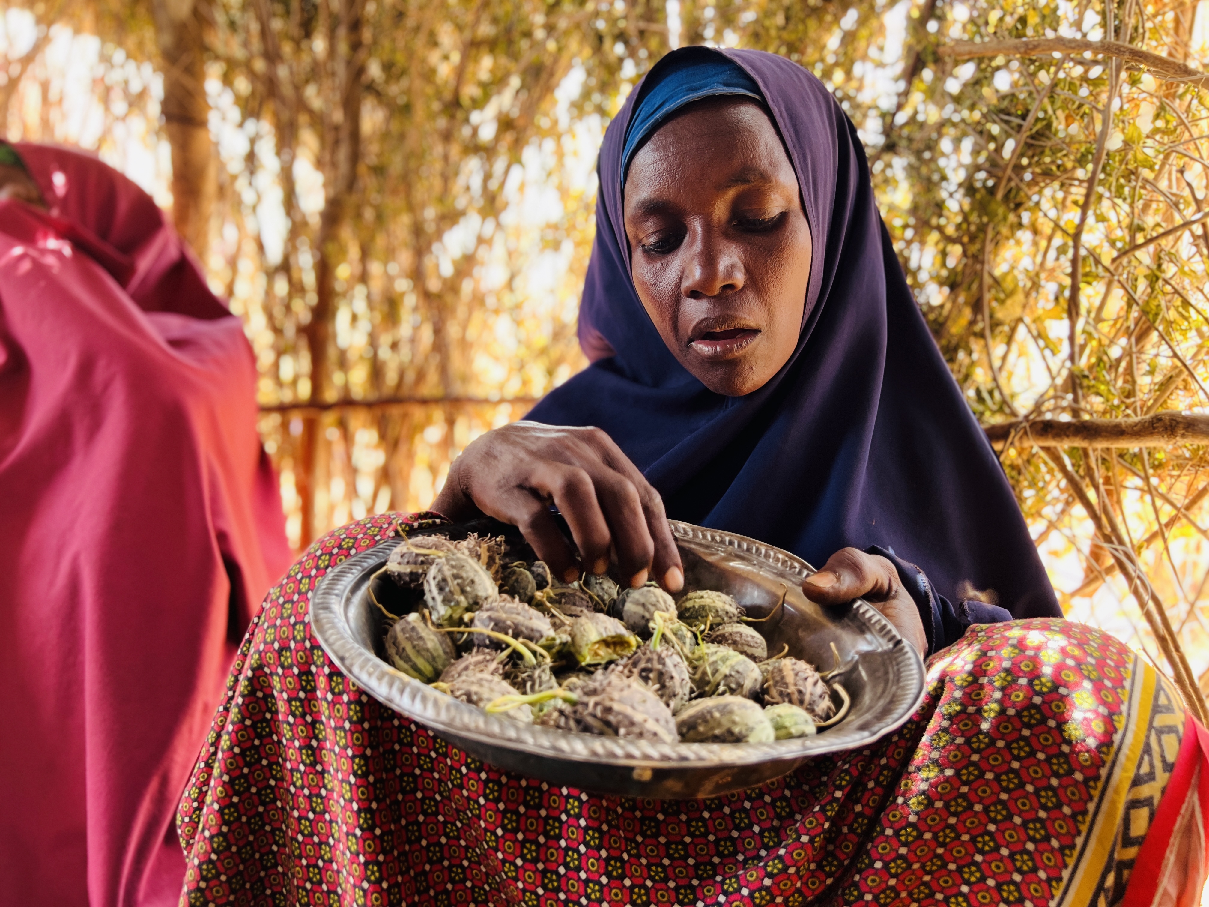 Adey Abdi a resident of an IDP settlement in Baidoa displays a bowl of uncooked wild fruits.