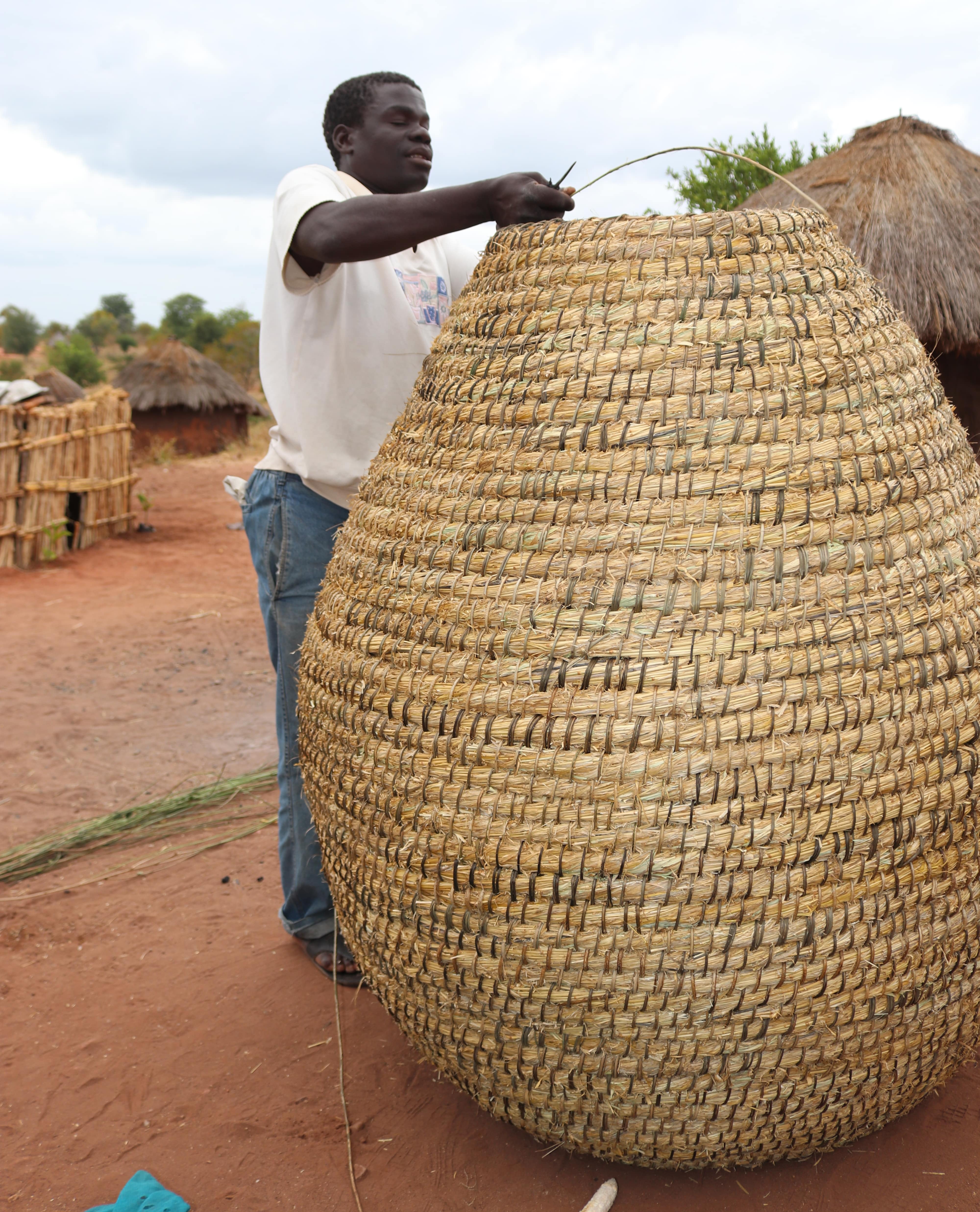 Raimundo weaving the basket for sale