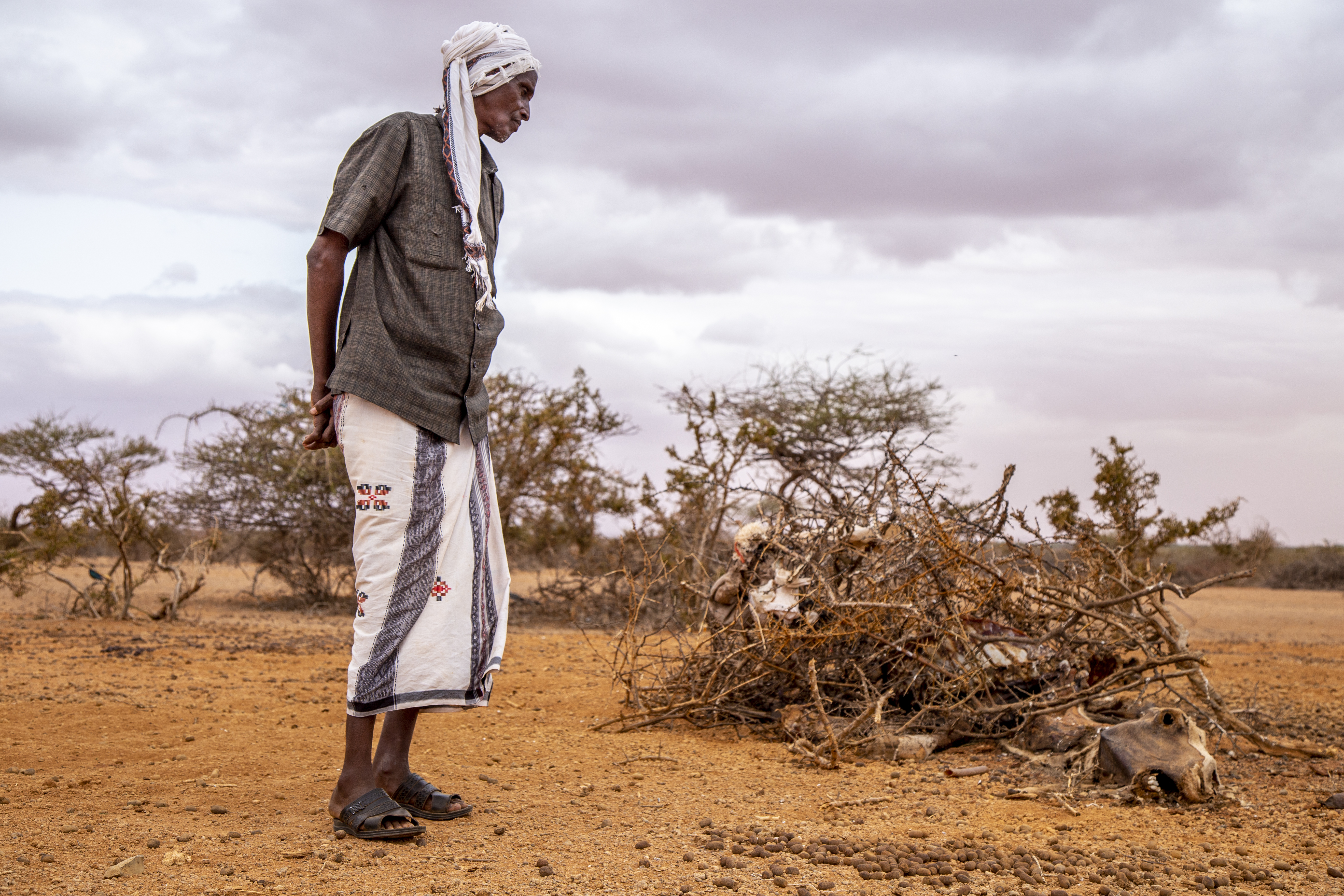Abdullahi Arab in Doolow, southern Somalia, has lost nearly all his camels and goats to the drought. 