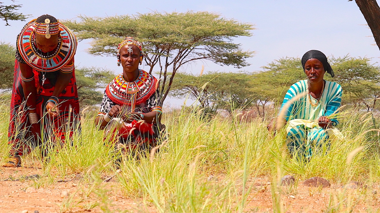 The reseeding of degraded land with grass contributes to the creation of carbon sinks which help mitigate climate change. ©World Vision Photo