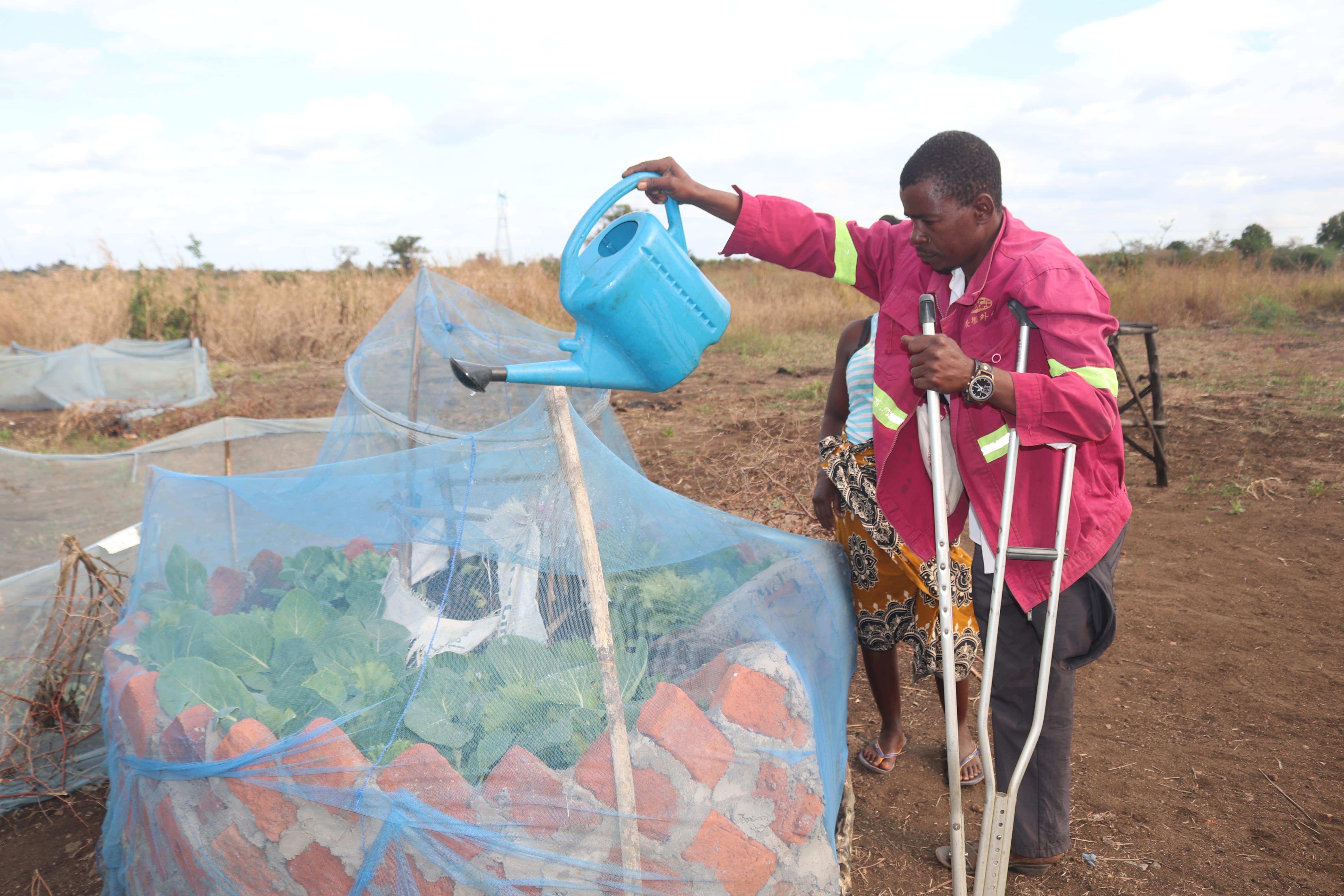 Nicolau is watering small vegetable garden with his wife support