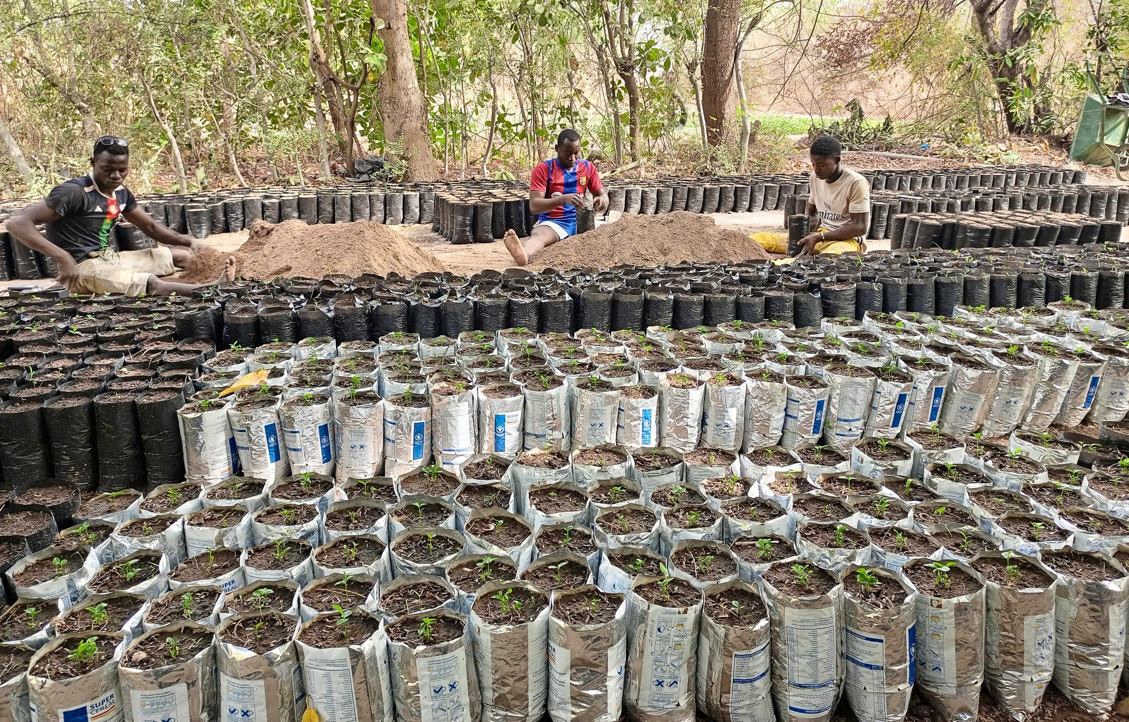 A Committed Nurseryman for the Future of His Community