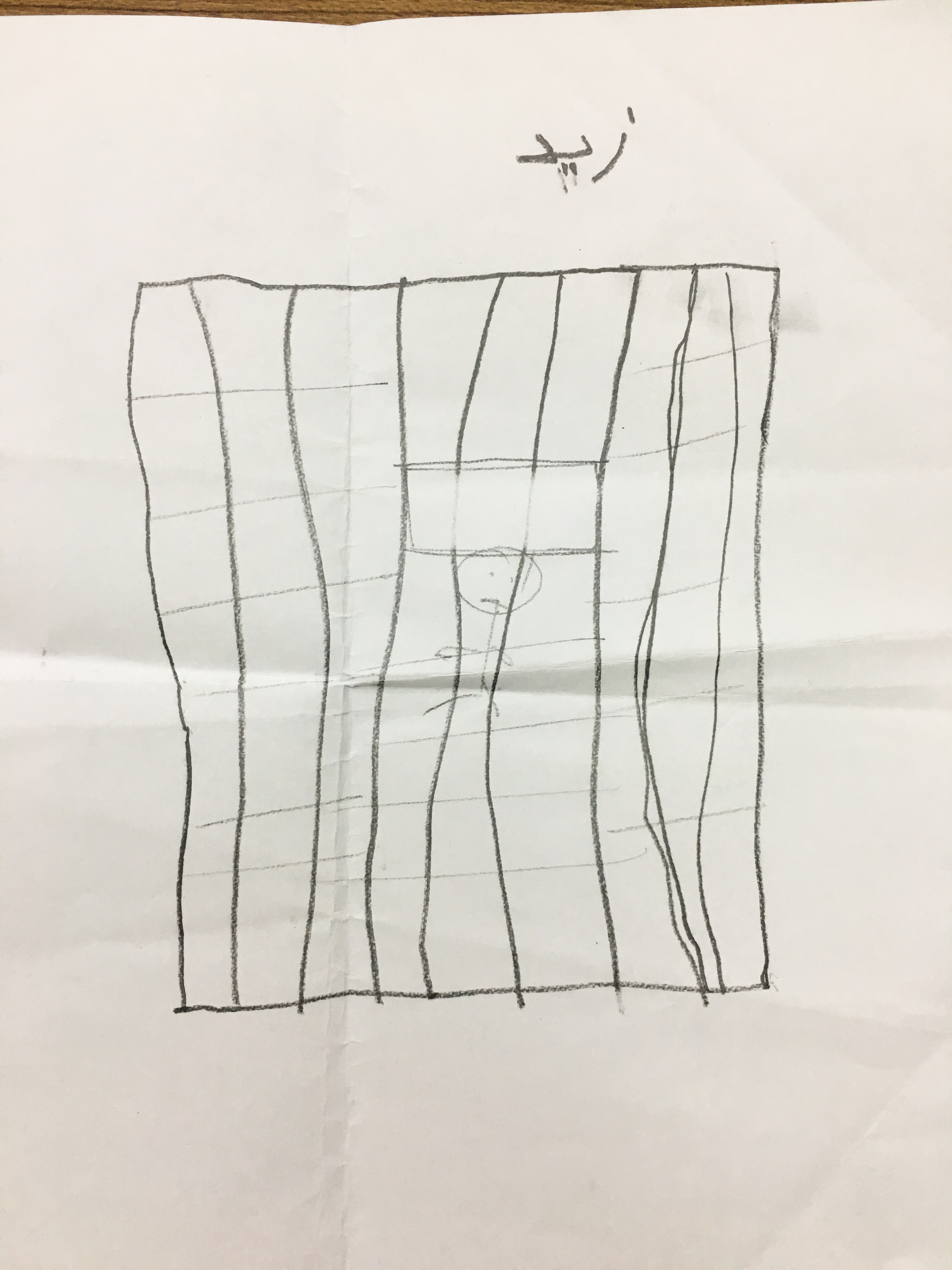 A child's drawing from a PSS session in Iraq