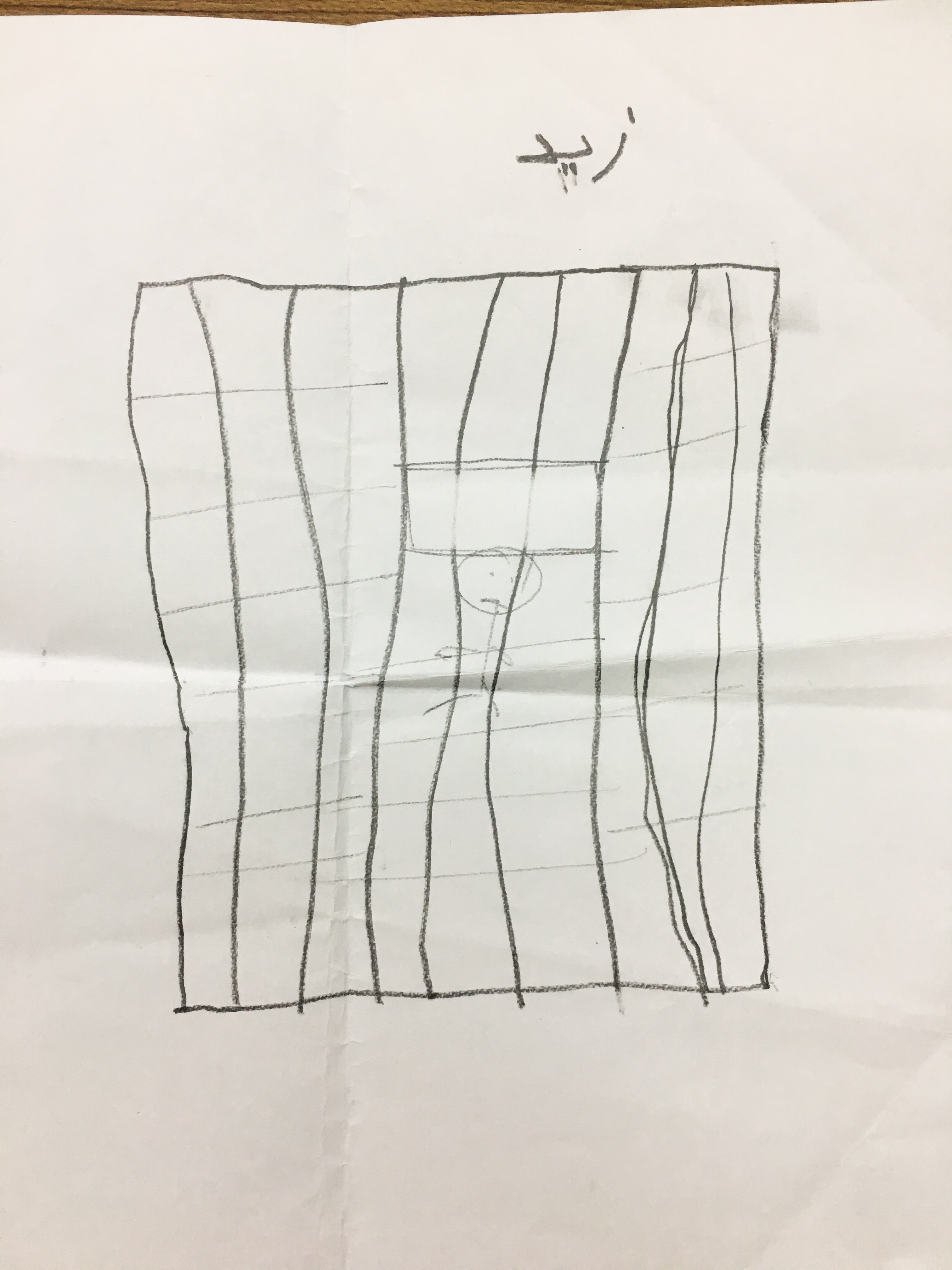 A child's drawing from a PSS session in Iraq