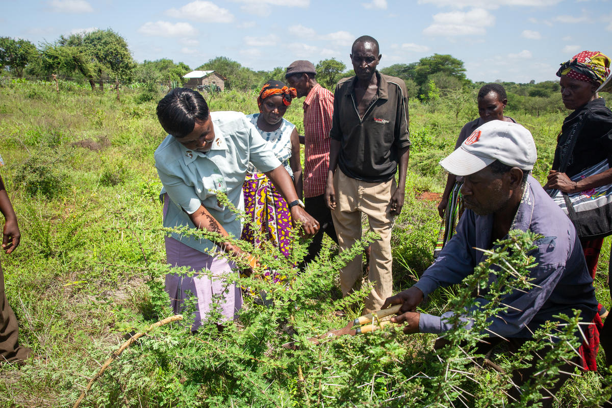 This community farmer group is standing in a demonstration plot showcasing on-farm integrated technologies and practices as part of the Drylands Development Programme