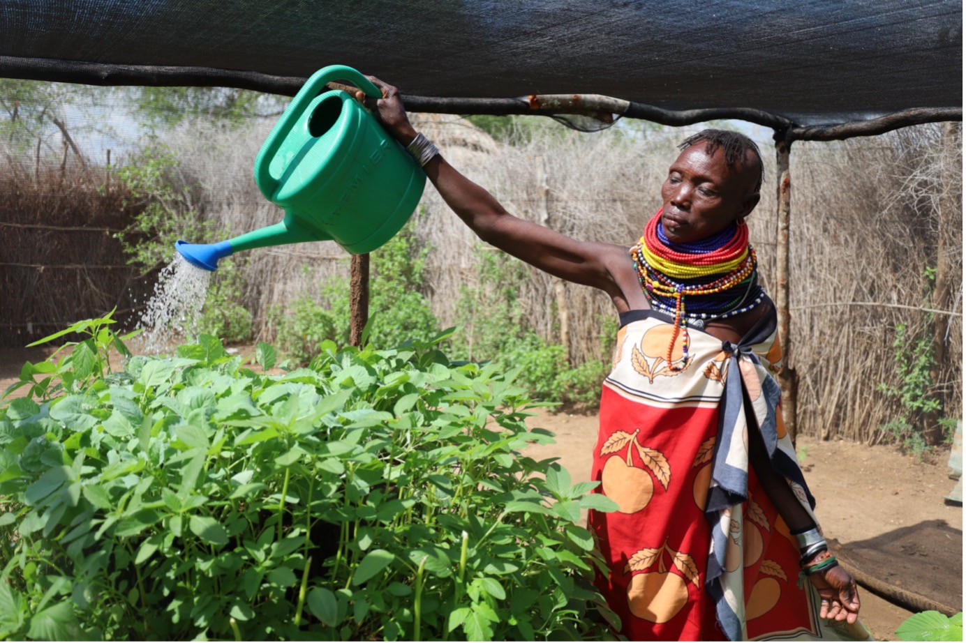 Women in Lotukoi’s community, supported by World Vision’s intervention, now have ample vegetables to nourish their children. © World Vision Photo/Felix Pilipili