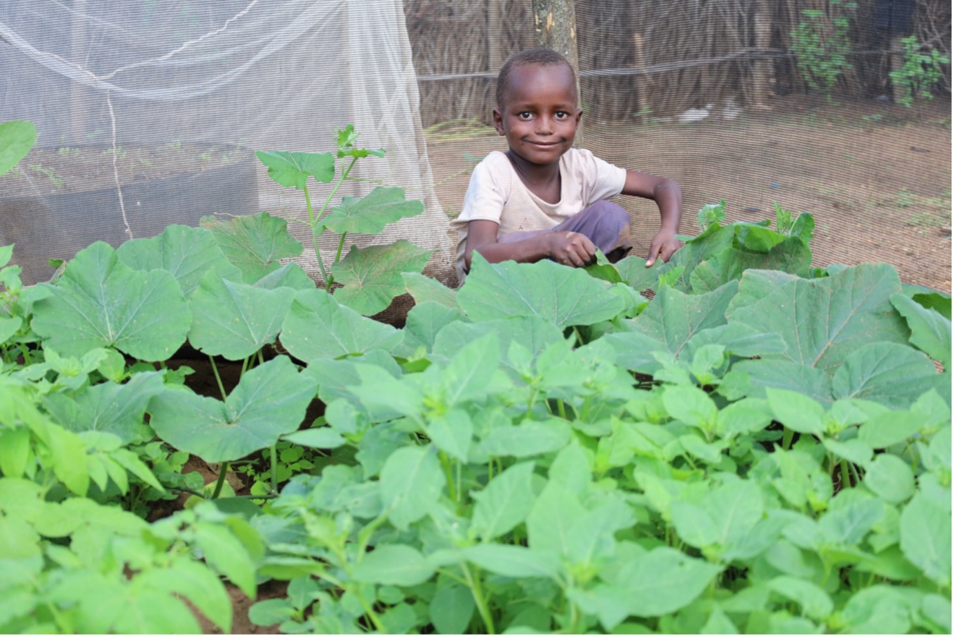 Eleven-year-old Ikasukoot stands proudly among a variety of vegetables from a kitchen garden, illustrating the benefits of the K-DREAM Project. Supported by World Vision, this initiative ensures children like Ikasukoot have access to nutritious food and are protected from malnutrition. © World Vision Photo/Felix Pilipili
