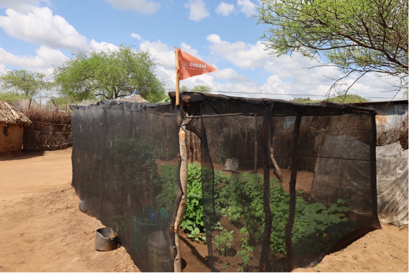 A kitchen garden under a shade net at Lotukoi's home in Oropoi village, Turkana West, supported by World Vision through the K-DREAM Project. © World Vision Photo/Felix Pilipili