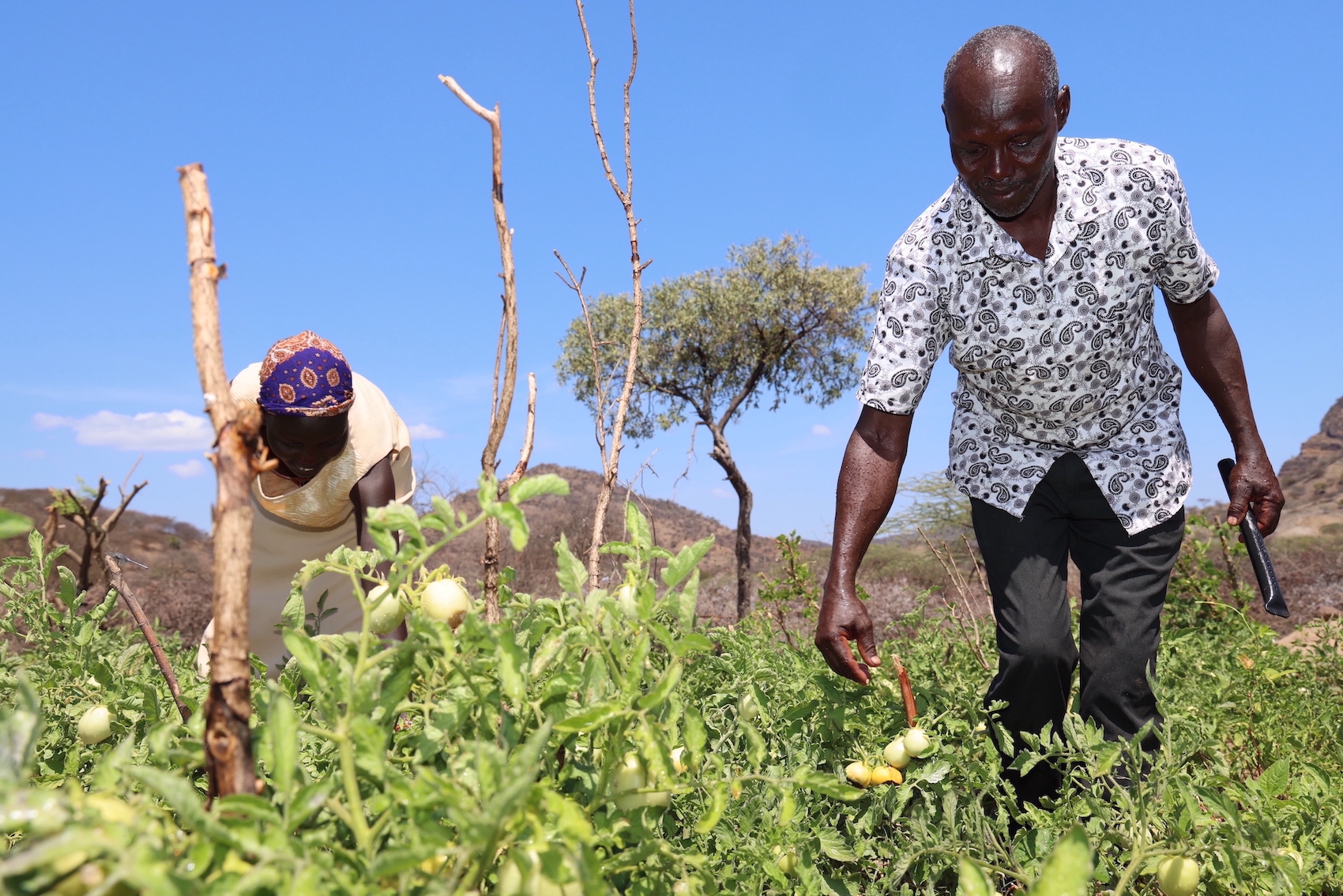 Lorus working on his farm with his wife; the farm is now a great source of food for his family. 