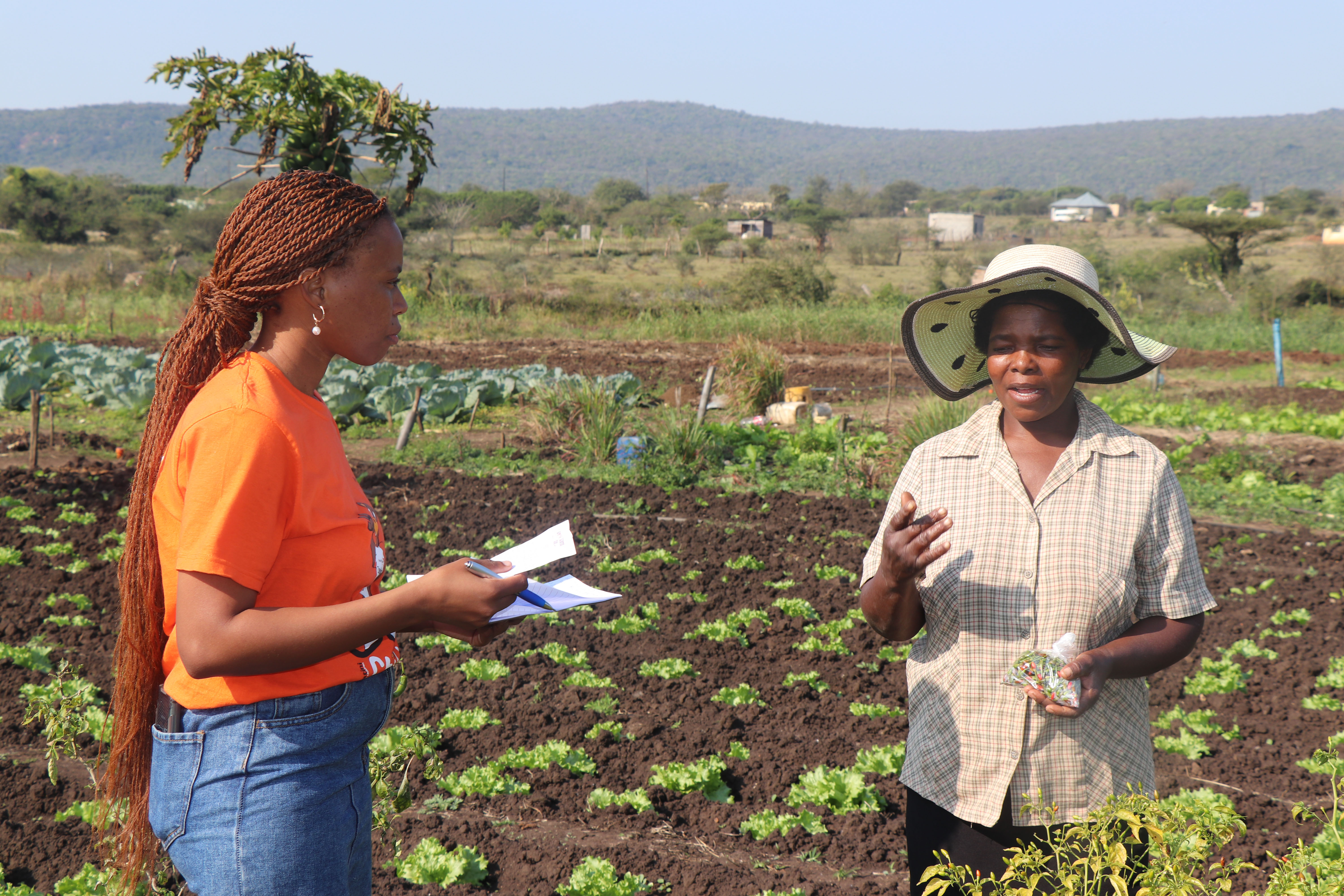 “NO MORE ROBBERIES FOR OUR COMMUNITY”- MAPHATSINDVUKU COMMUNITY GARDEN FARMERS