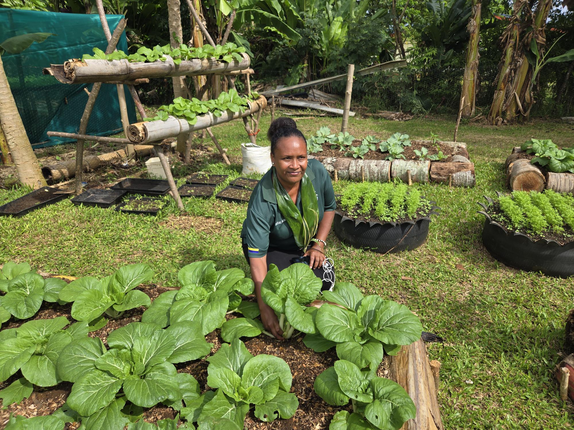 Cynthia Kalo of Port Vila, Vanuatu, gathering freshly harvested cabbages with care and joy