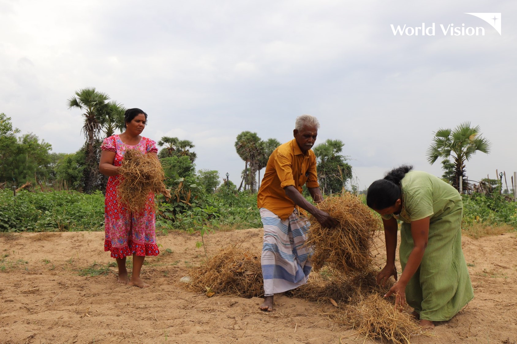 Women harvesting in Sri Lanka