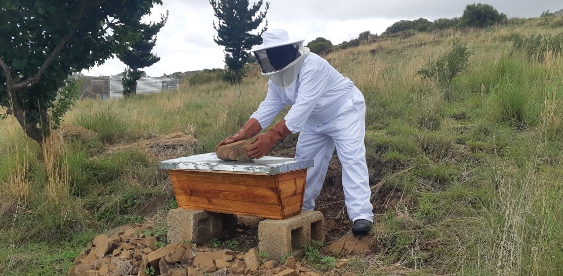 Khauta Mohale working on his bees