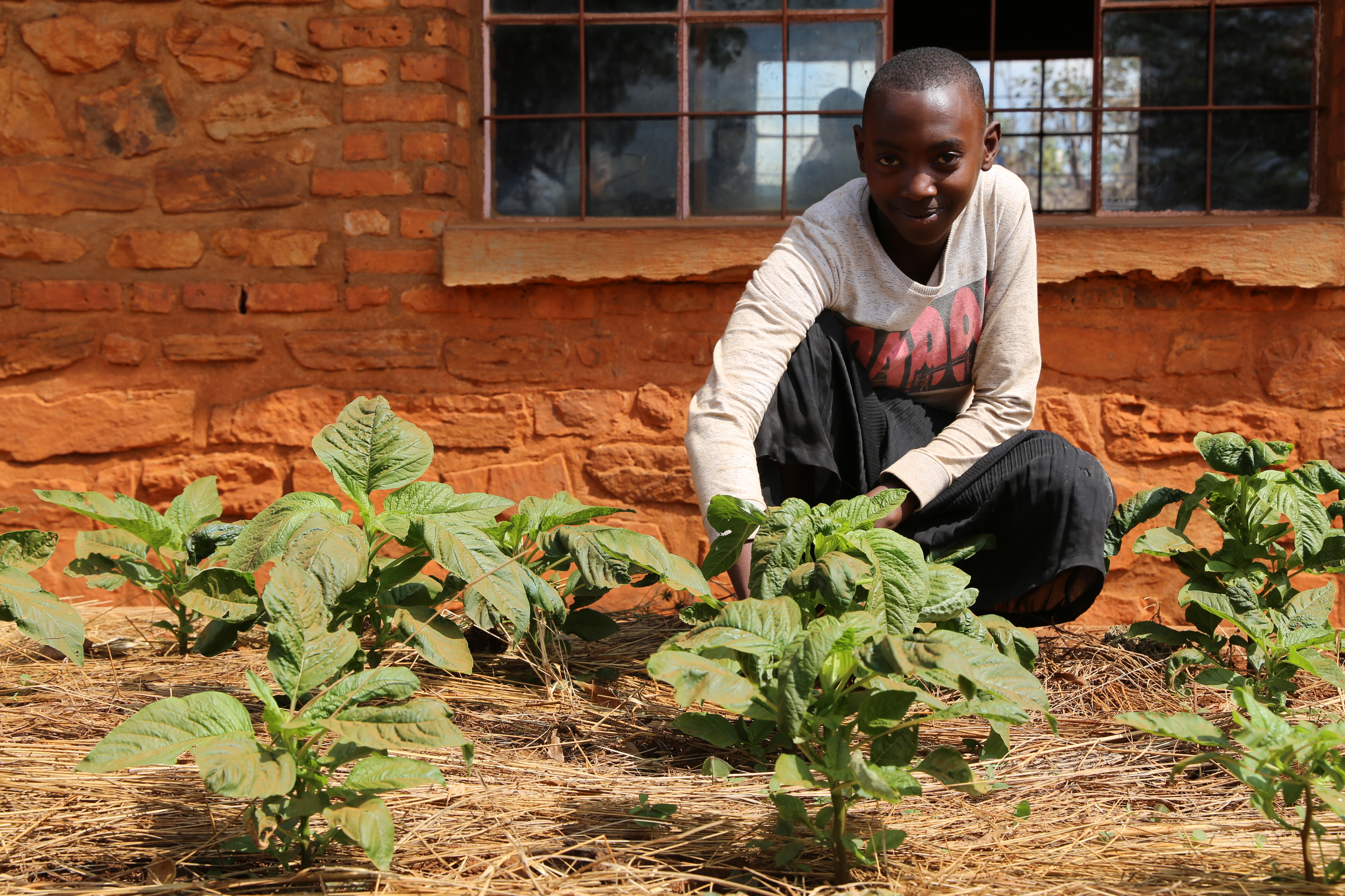 Ange, 16, picks vegetables in the school garden/World Vision/Javan/2016