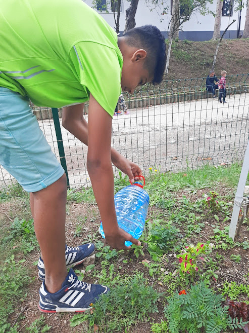 Milo gardening in CFS