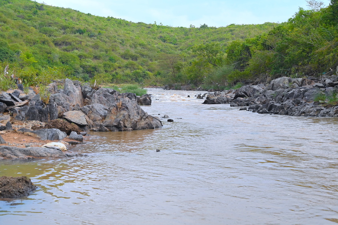 Mirema Forest, which was initially bare and dry, is currently covered with beautiful trees and green vegetation in Nyatike, Migori County. ©World Vision Photo/Sarah Ooko