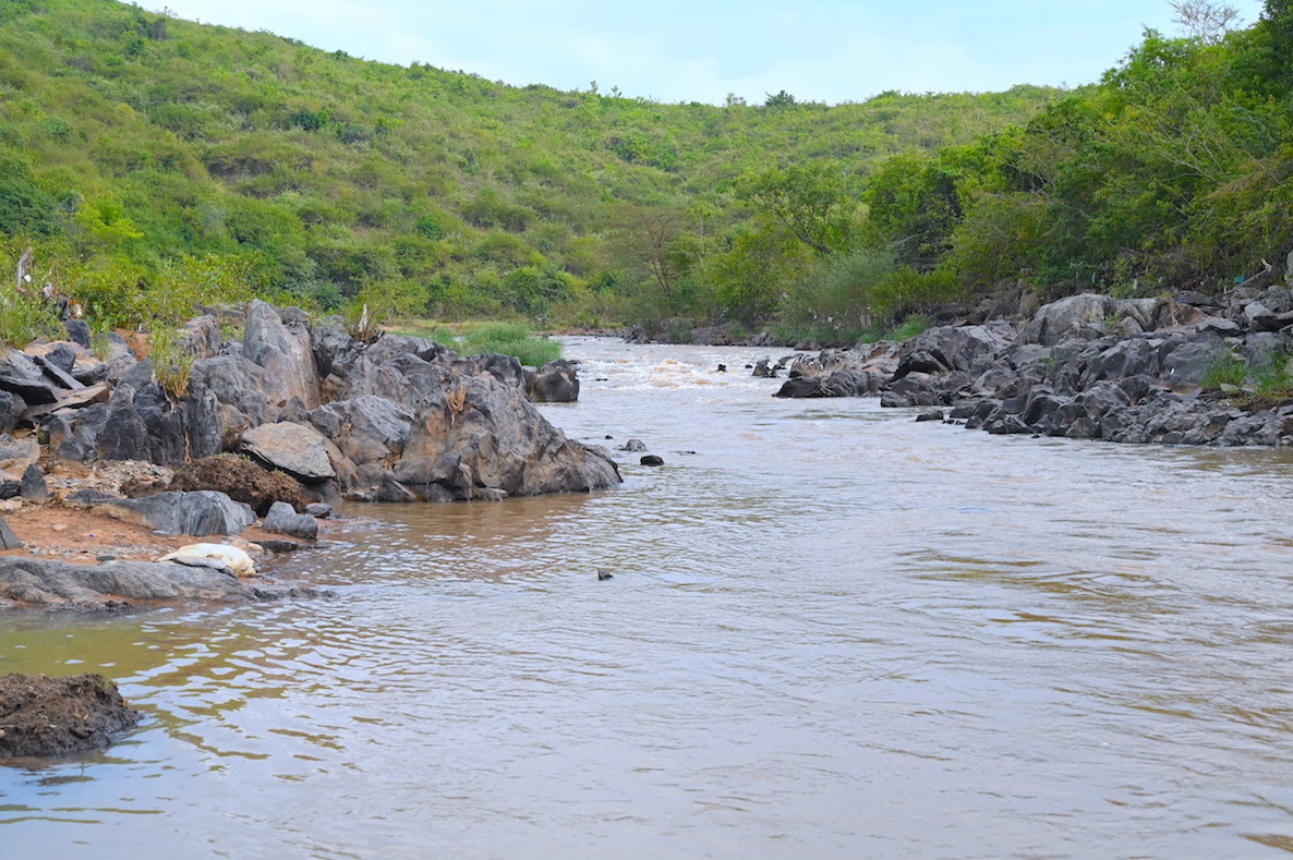 Mirema Forest, which was initially bare and dry, is currently covered with beautiful trees and green vegetation in Nyatike, Migori County. ©World Vision Photo/Sarah Ooko