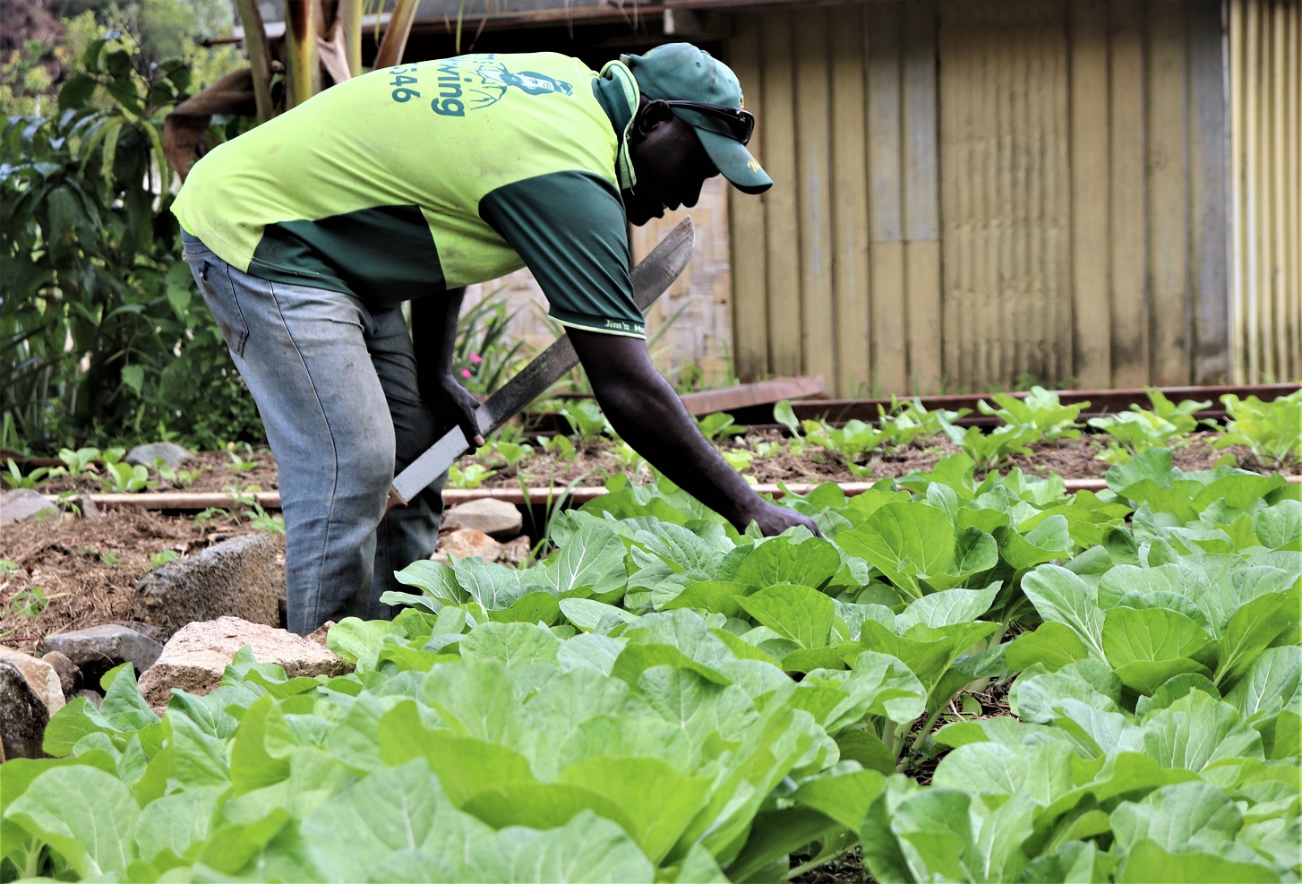 Nutrition project provides life skills in Backyard gardening. (1).JPG