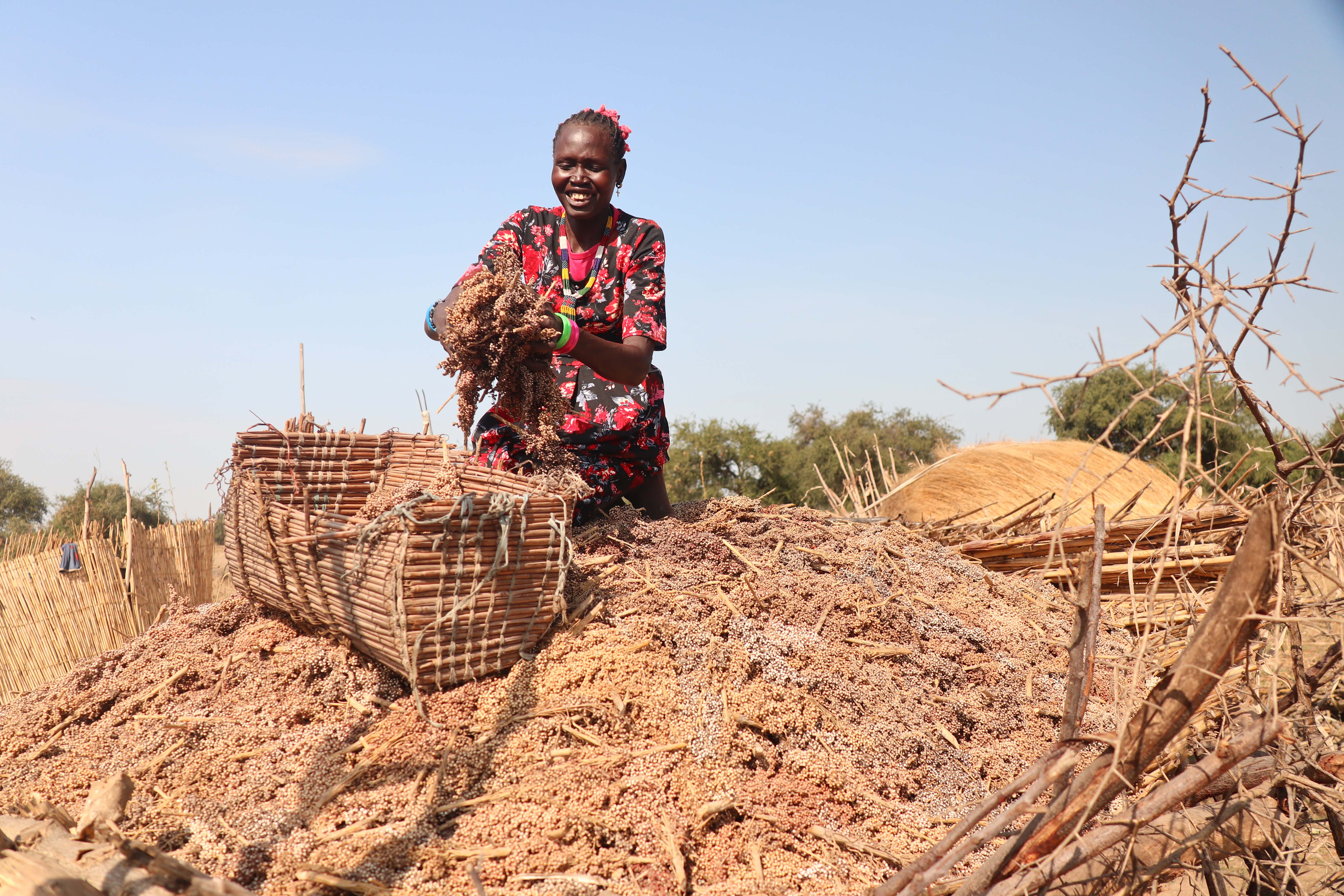 Nyaruon prepares the sorghum harvest