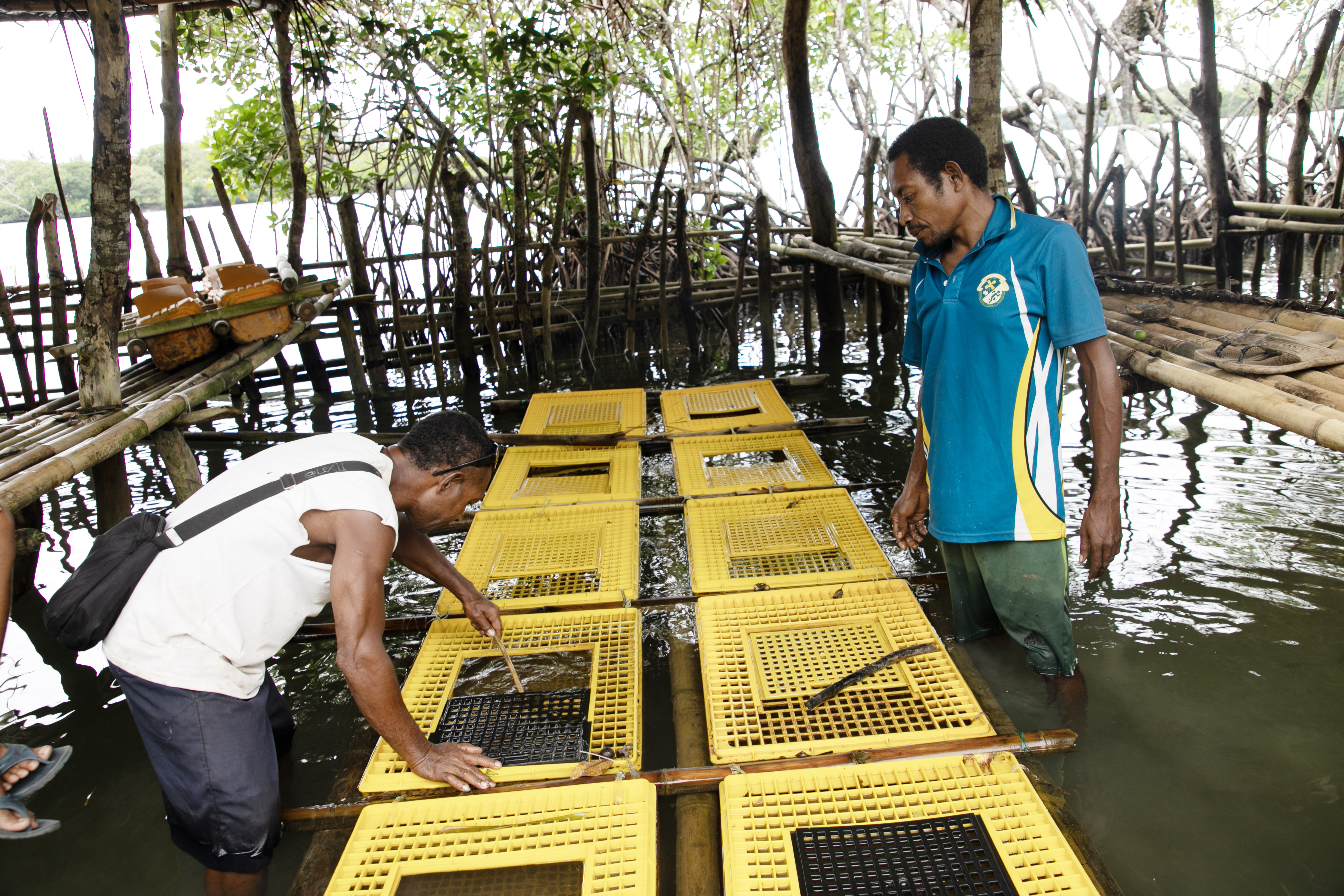 Andrew and Raymond, checking the crabs at the farm