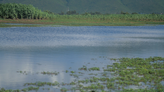 Kisumu county is one of the most affected counties by floods. The floods are majorly caused by rivers overflowing into the plain lands. ©World Vision Photo/Peter Mwaura