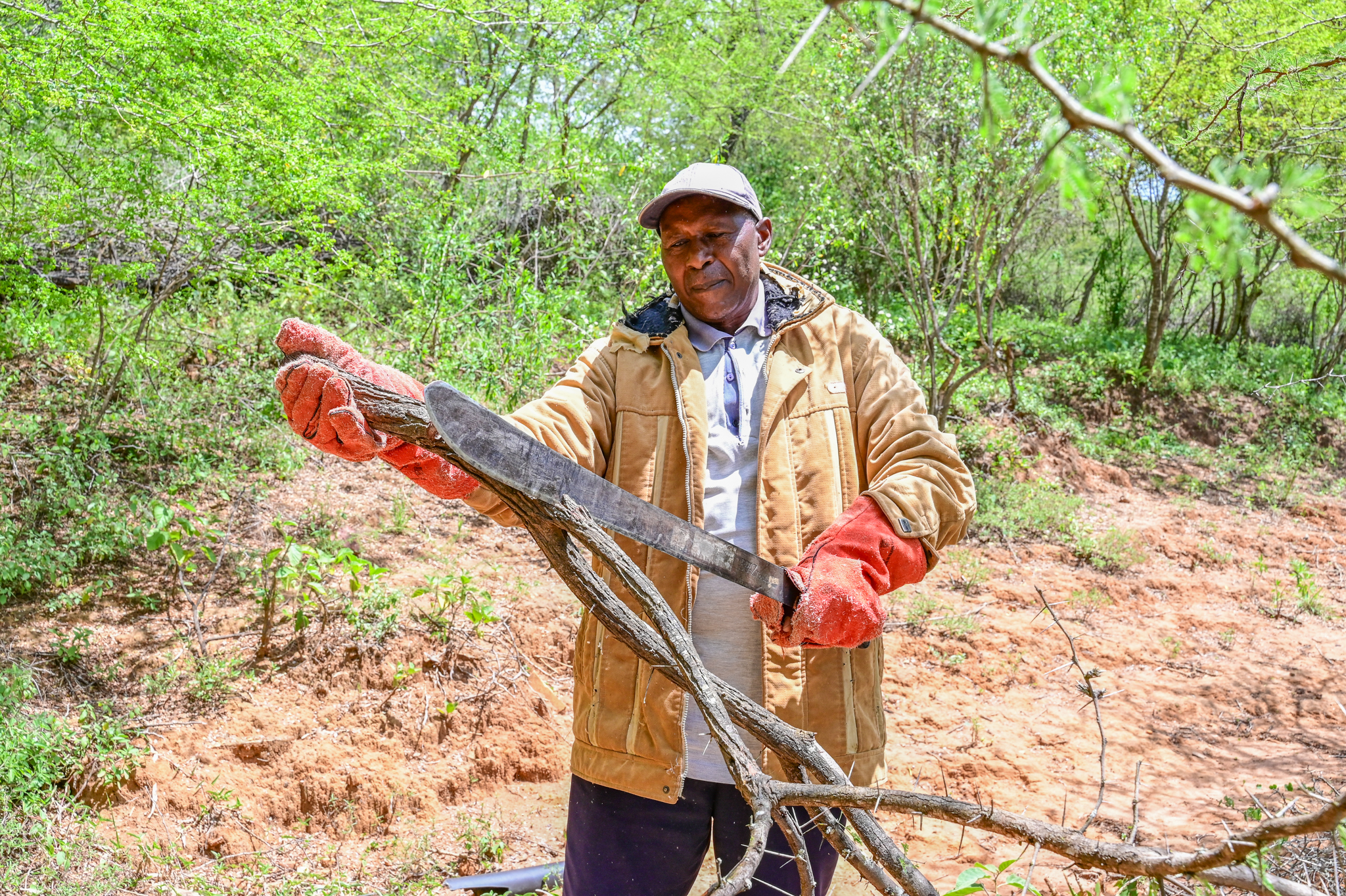 Reverend Paul Kyambu is a pastor and farmer who is on a mission to transform his village through FMNR. ©World Vision Photo/ Hellen Owuor