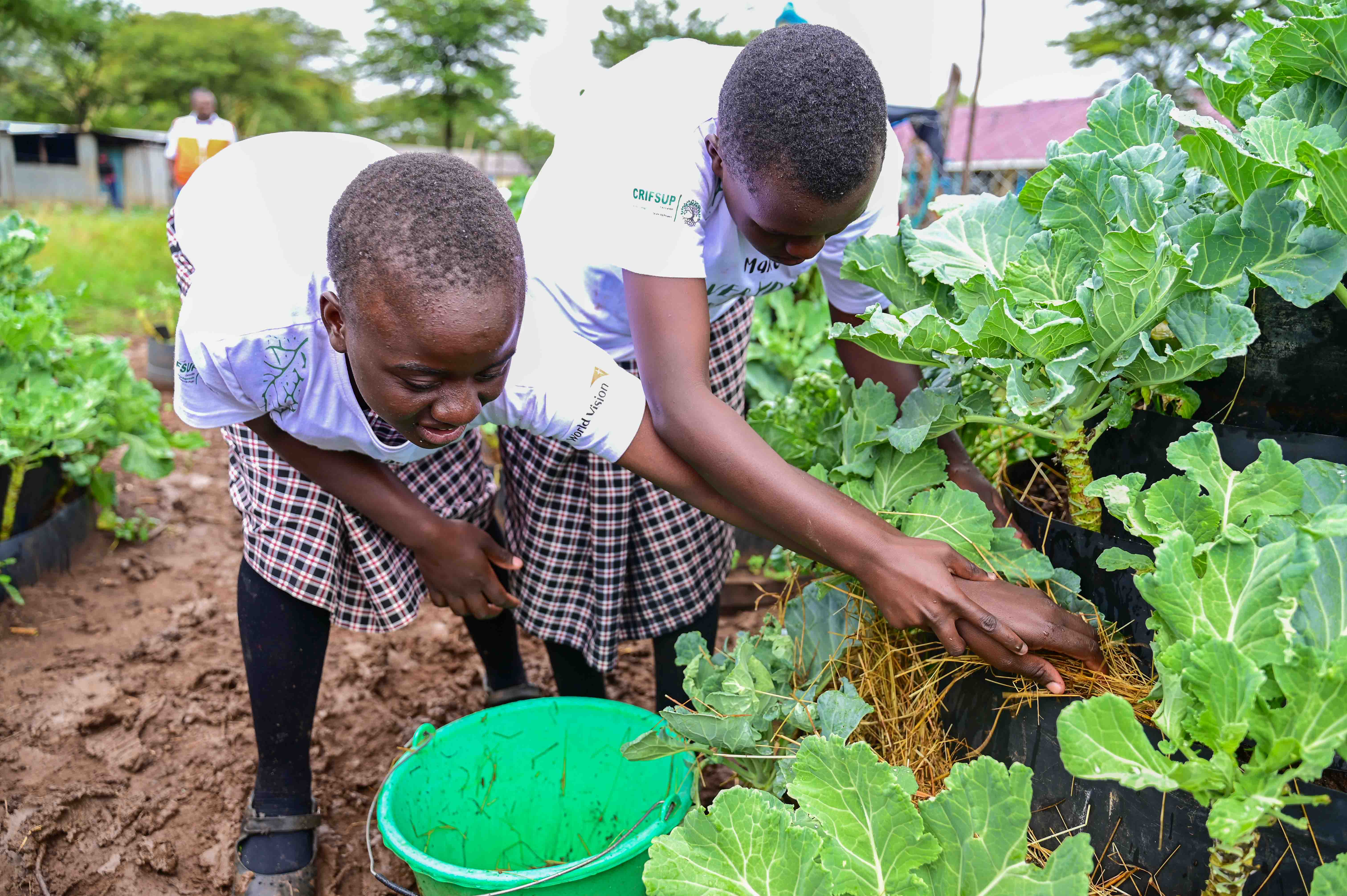 Children with low vision or partially sighted are paired with those who are totally blind to support each other in the club activities, learning and daily routines at school.
