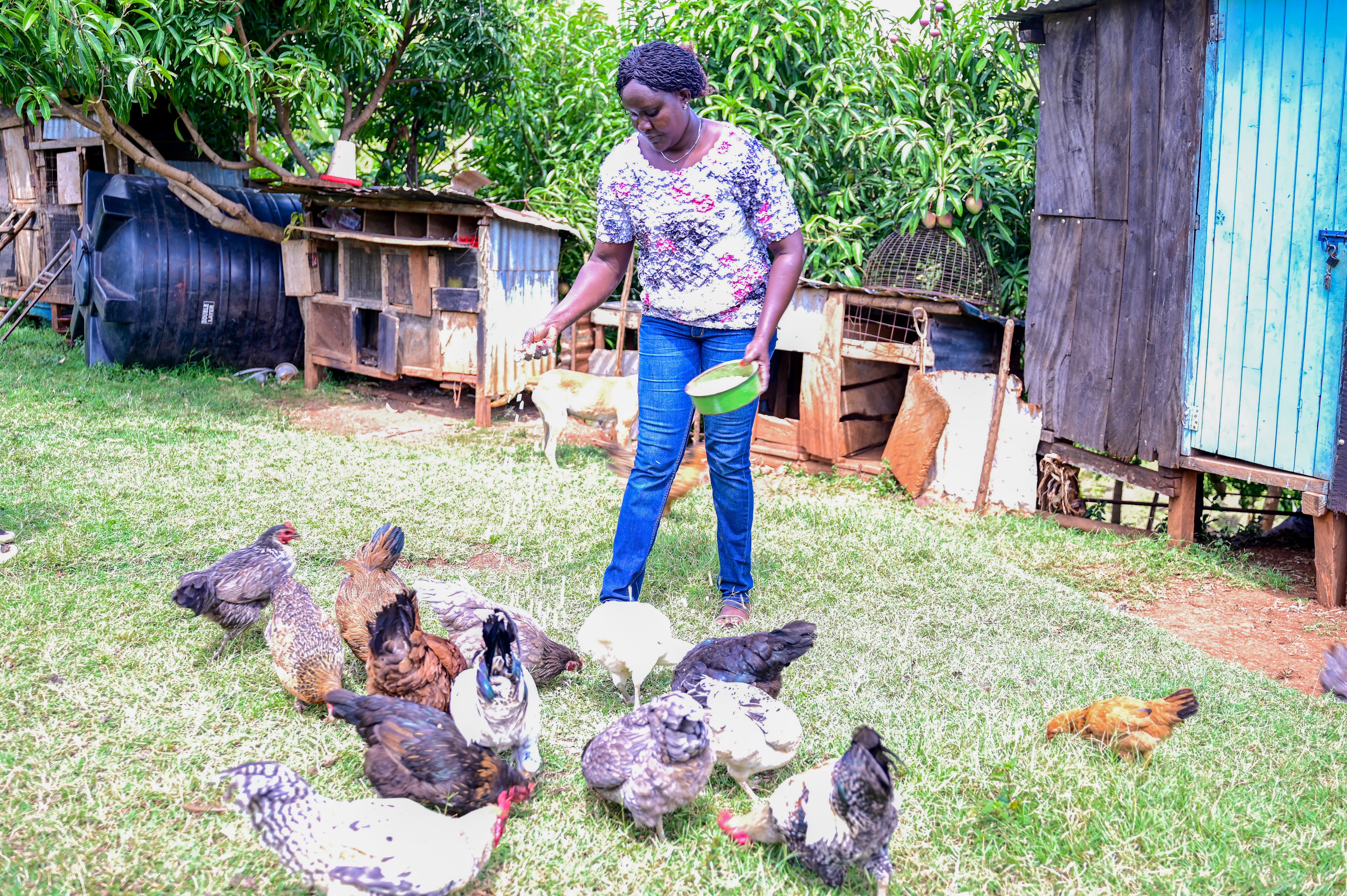 rears chicken for household consumption following empowerment by World Vision.