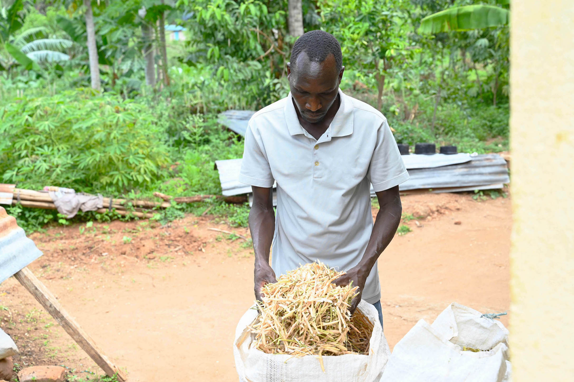 Reuben stores dried pods of beans for use as animal feed in the dry season. ©World Vision Photo/Hellen Owuor.