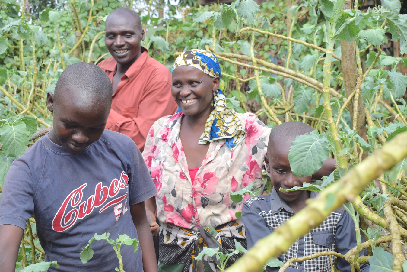 Evans, Joyce and their children - Abgael (15) and Gideon (13) at their kitchen garden in Nyamusi, Kenya. The vegetables enable them to boost food security and household income.